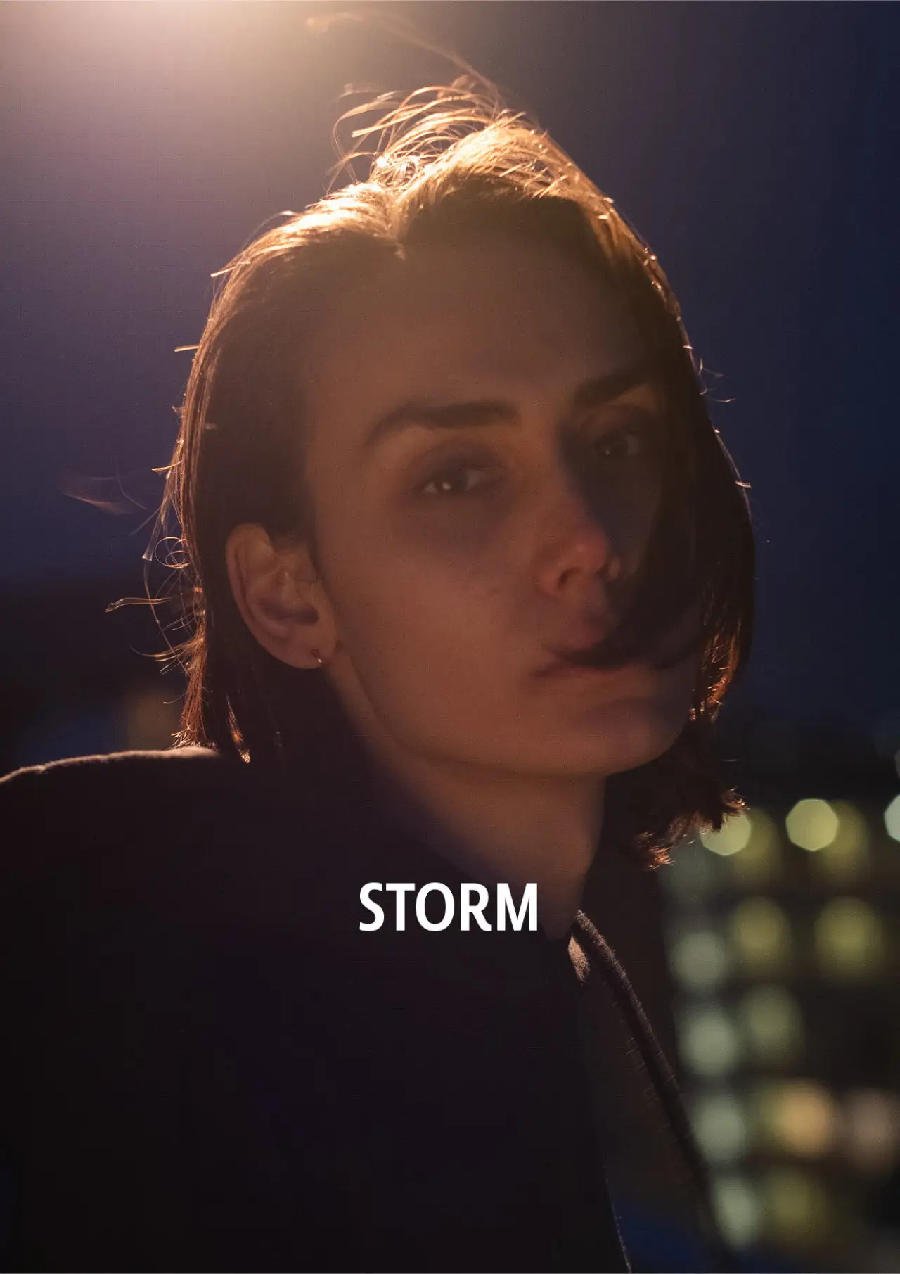 Постер к фильму "Storm"