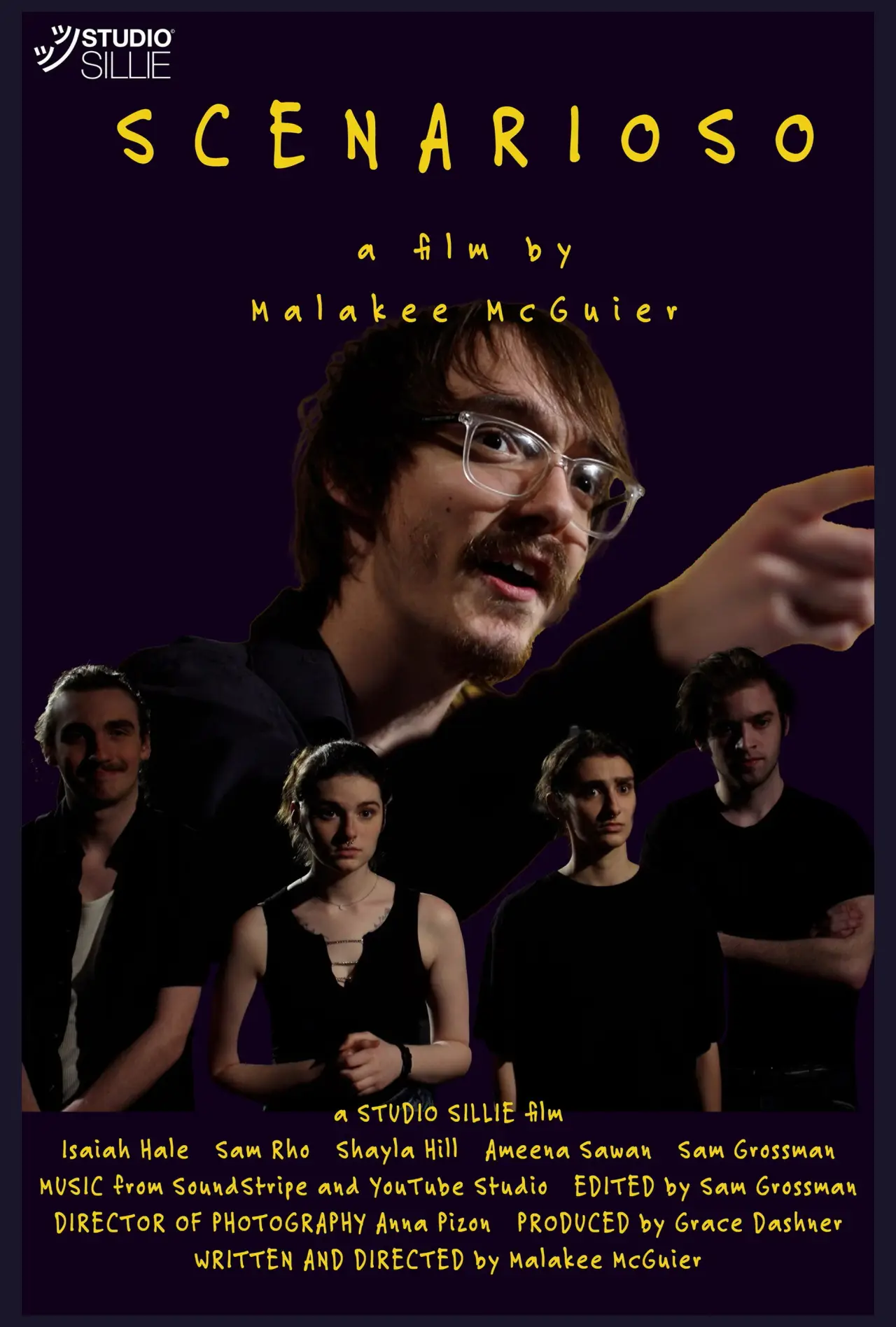 Постер к фильму "Scenarioso"