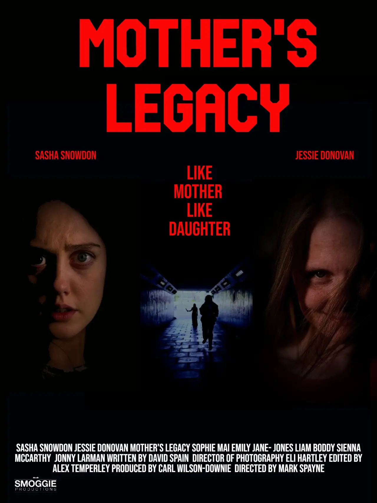 Постер к фильму "Mothers Legacy"