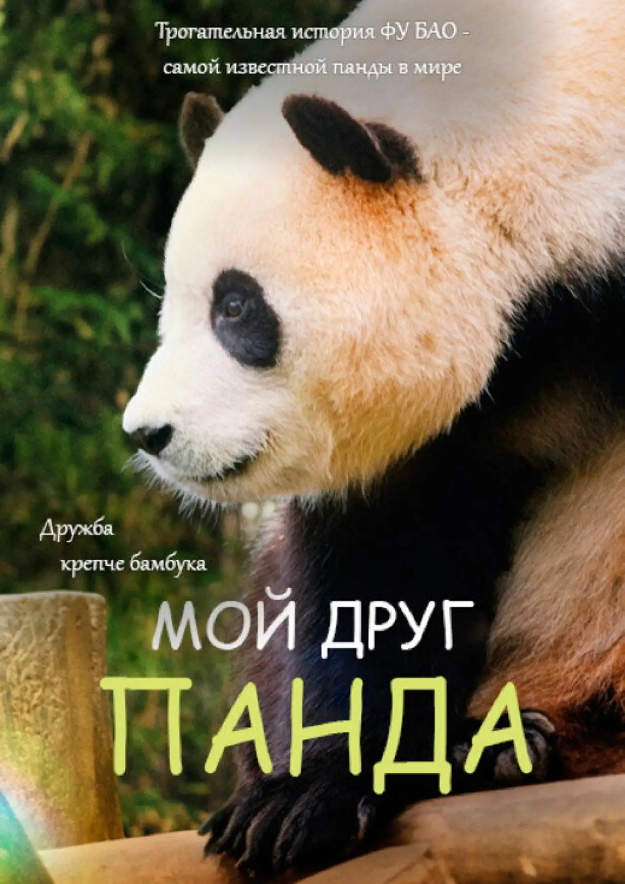 Постер к фильму "Мой друг панда"