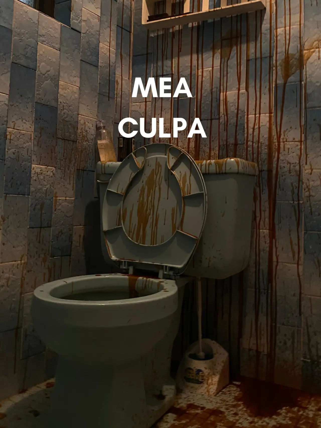 Постер к фильму "Mea Culpa"
