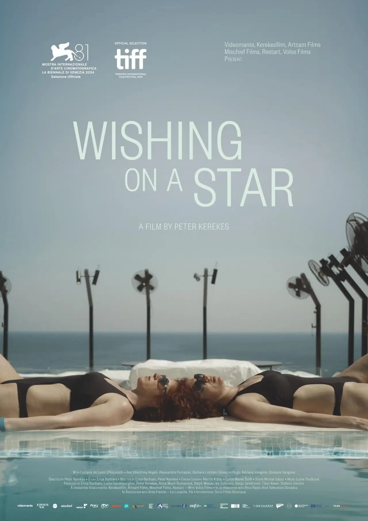 Постер к фильму "Wishing on a Star"