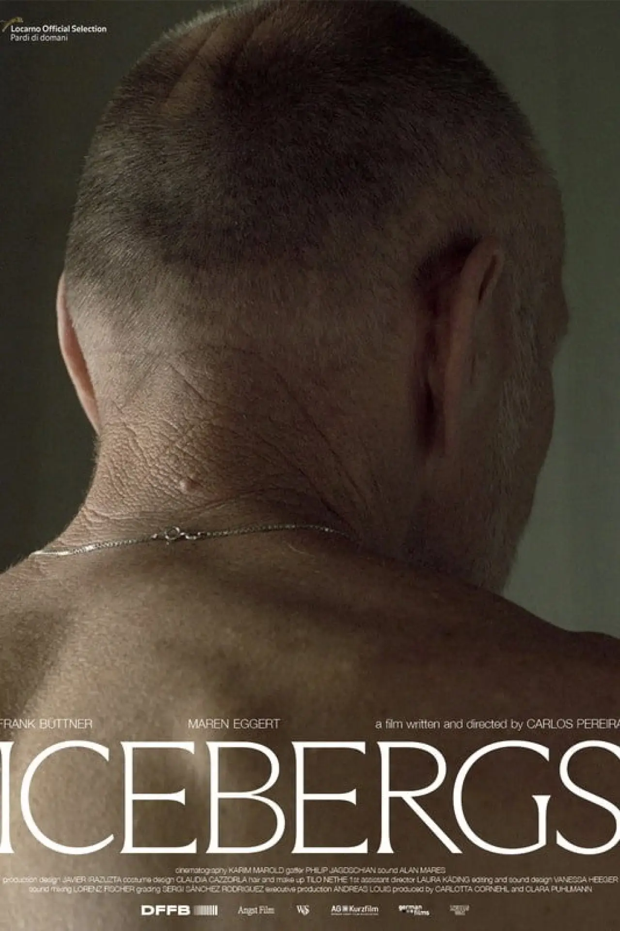 Постер к фильму "Icebergs"