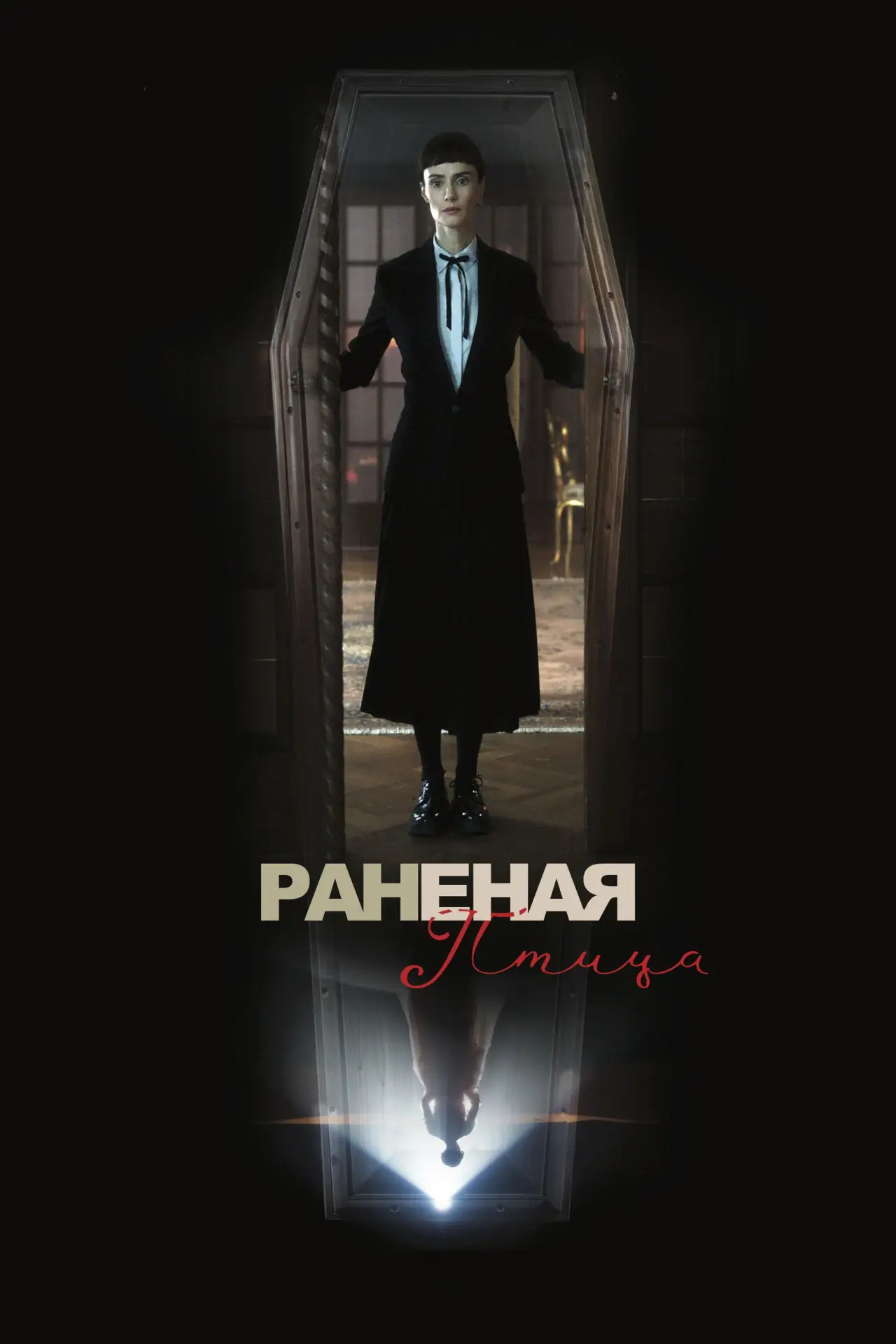 Постер к фильму "Сломанная птица"
