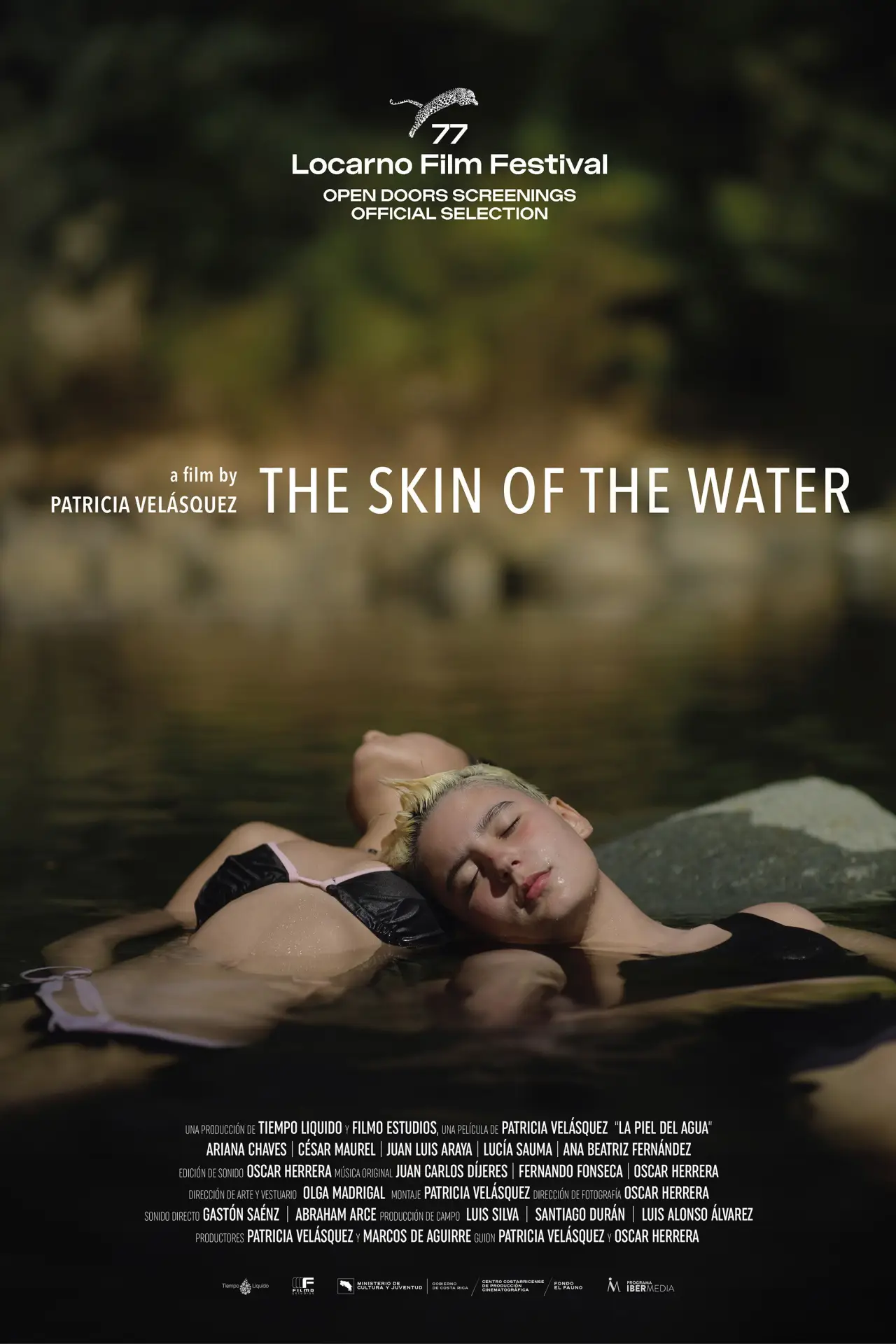 Постер к фильму "La piel del agua"