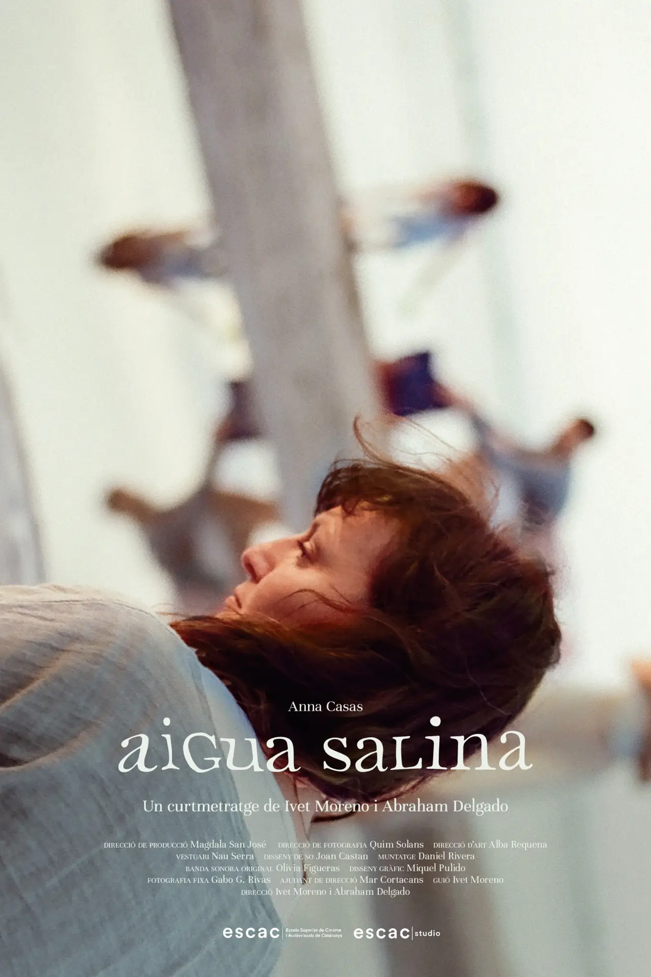 Постер к фильму "Aigua Salina"