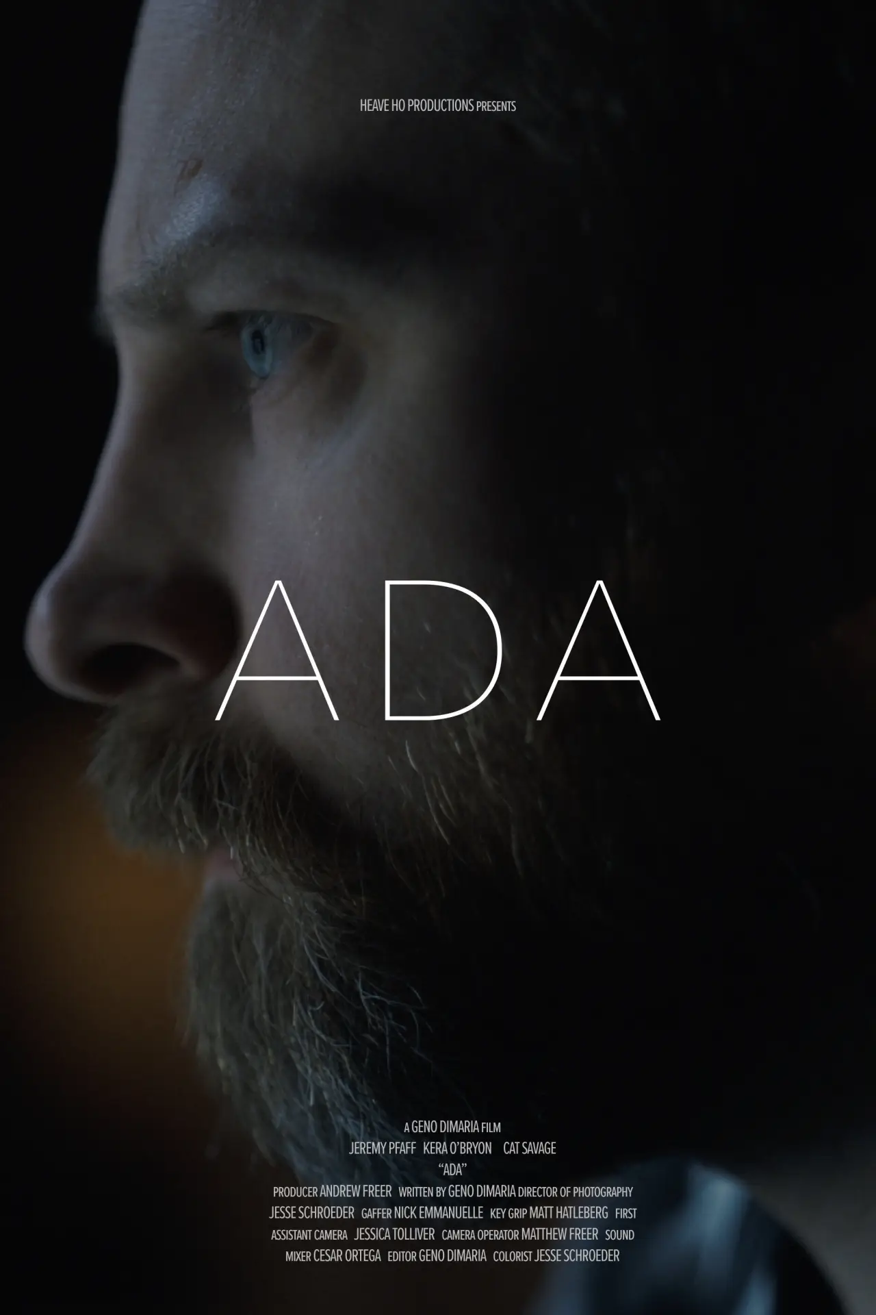 Постер к фильму "ADA"