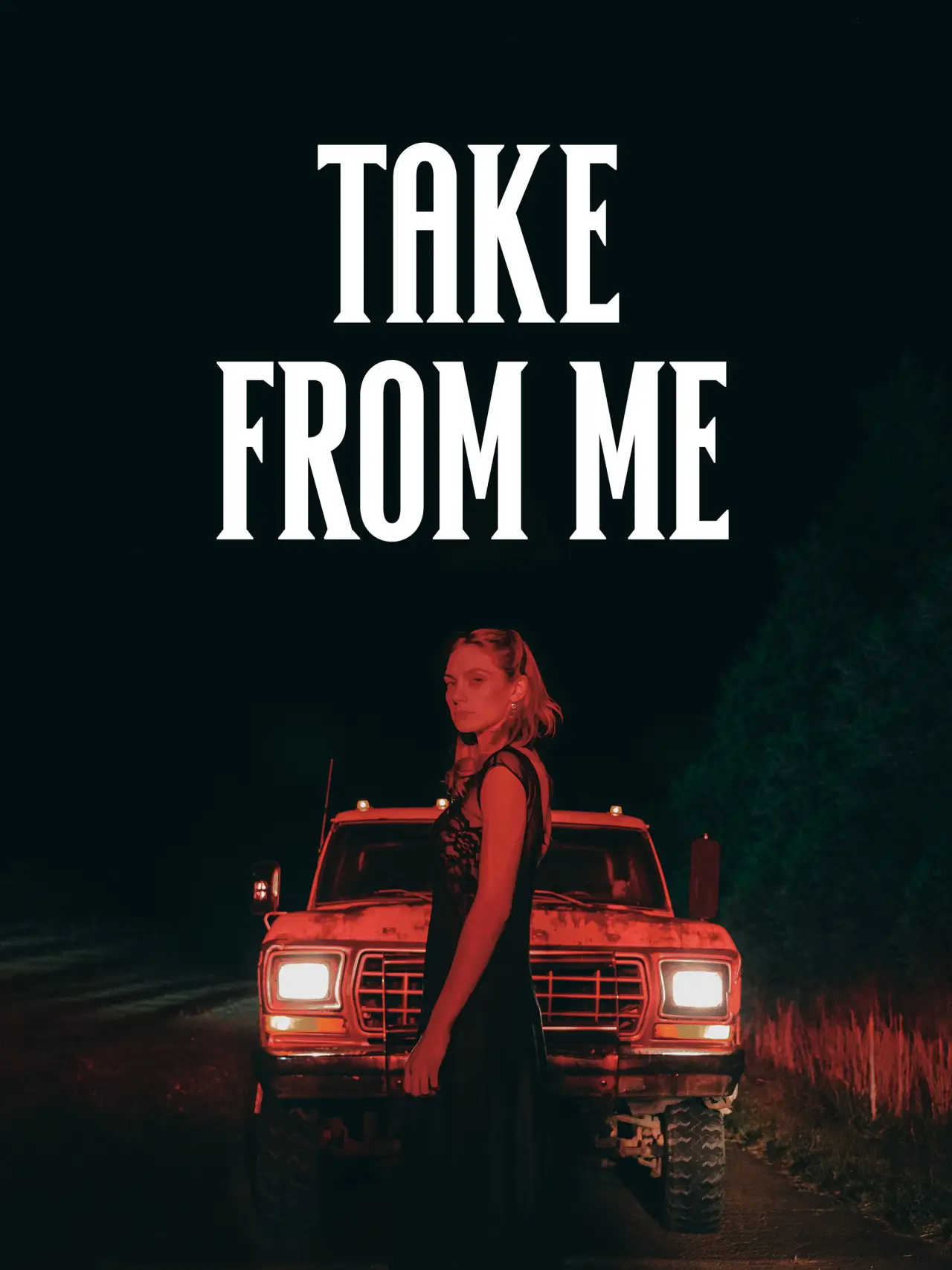 Постер к фильму "Take from Me"