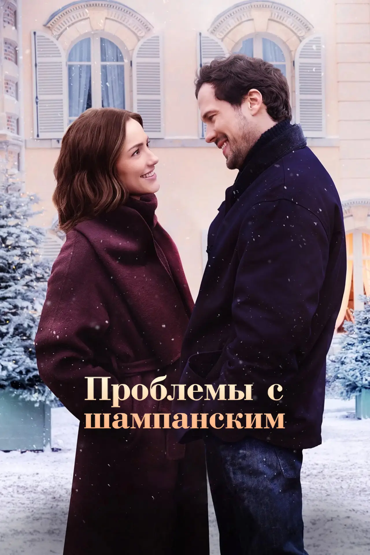 Постер к фильму "Проблемы с шампанским"