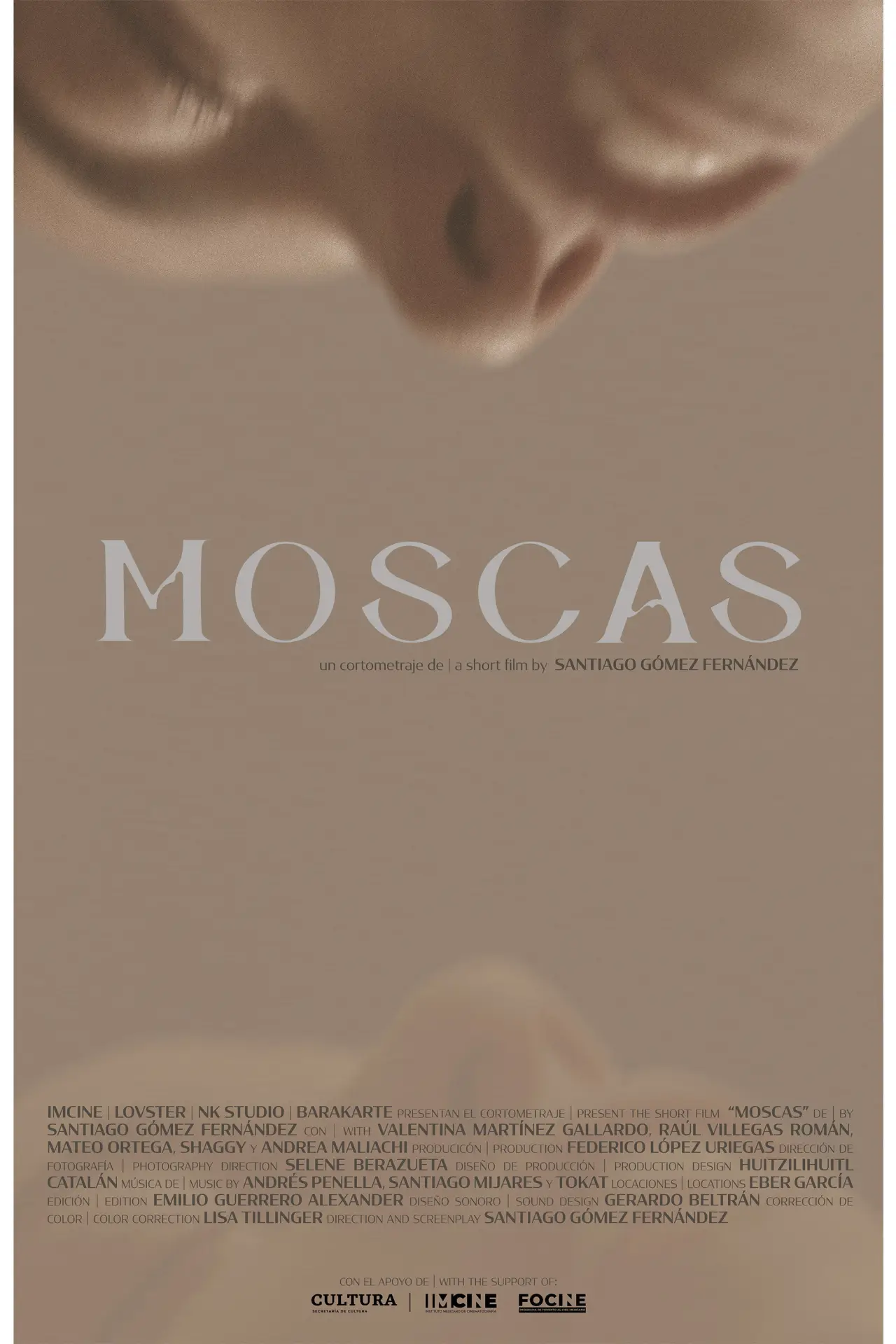 Постер к фильму "Moscas"