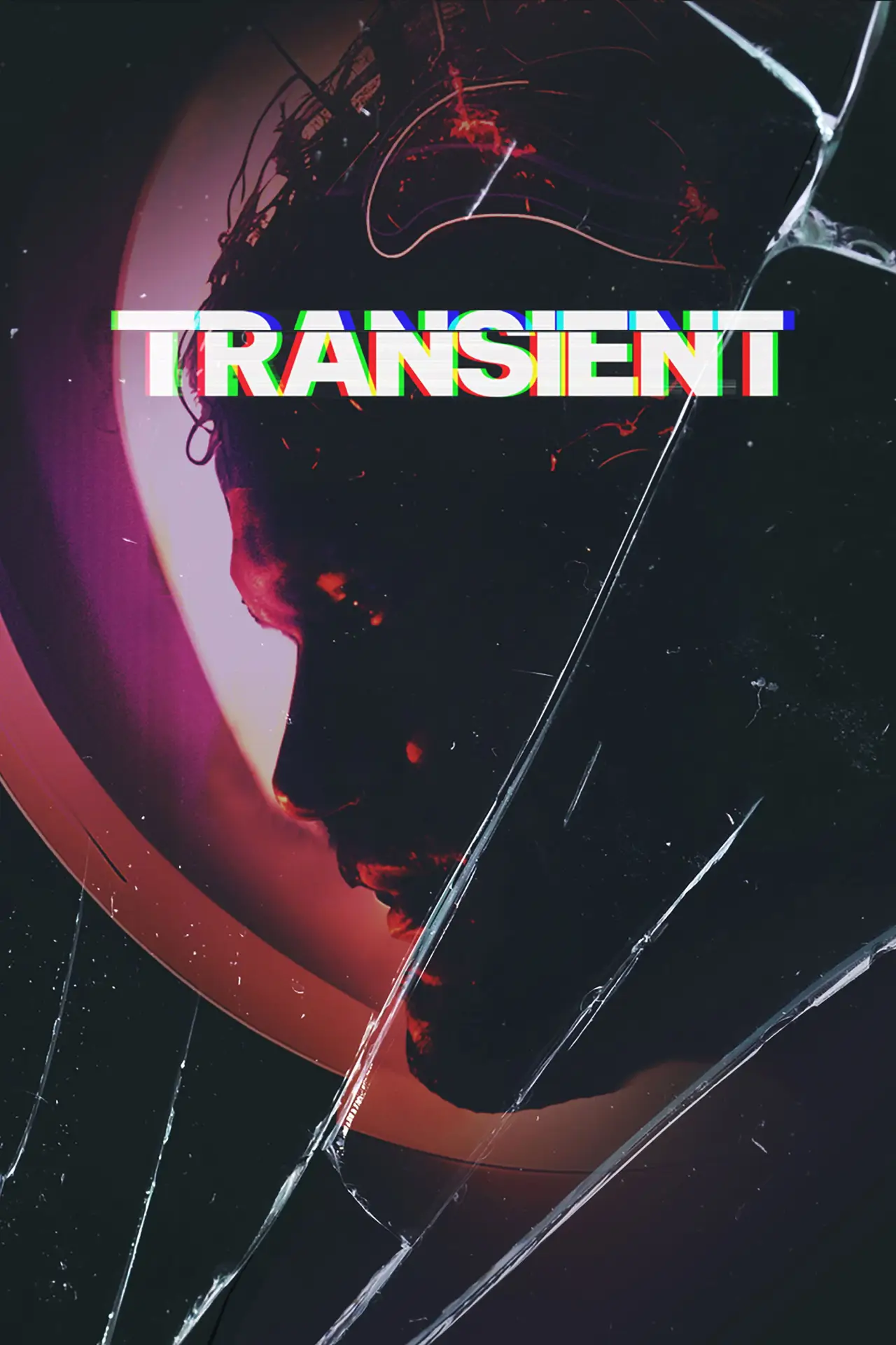 Постер к фильму "Transient"