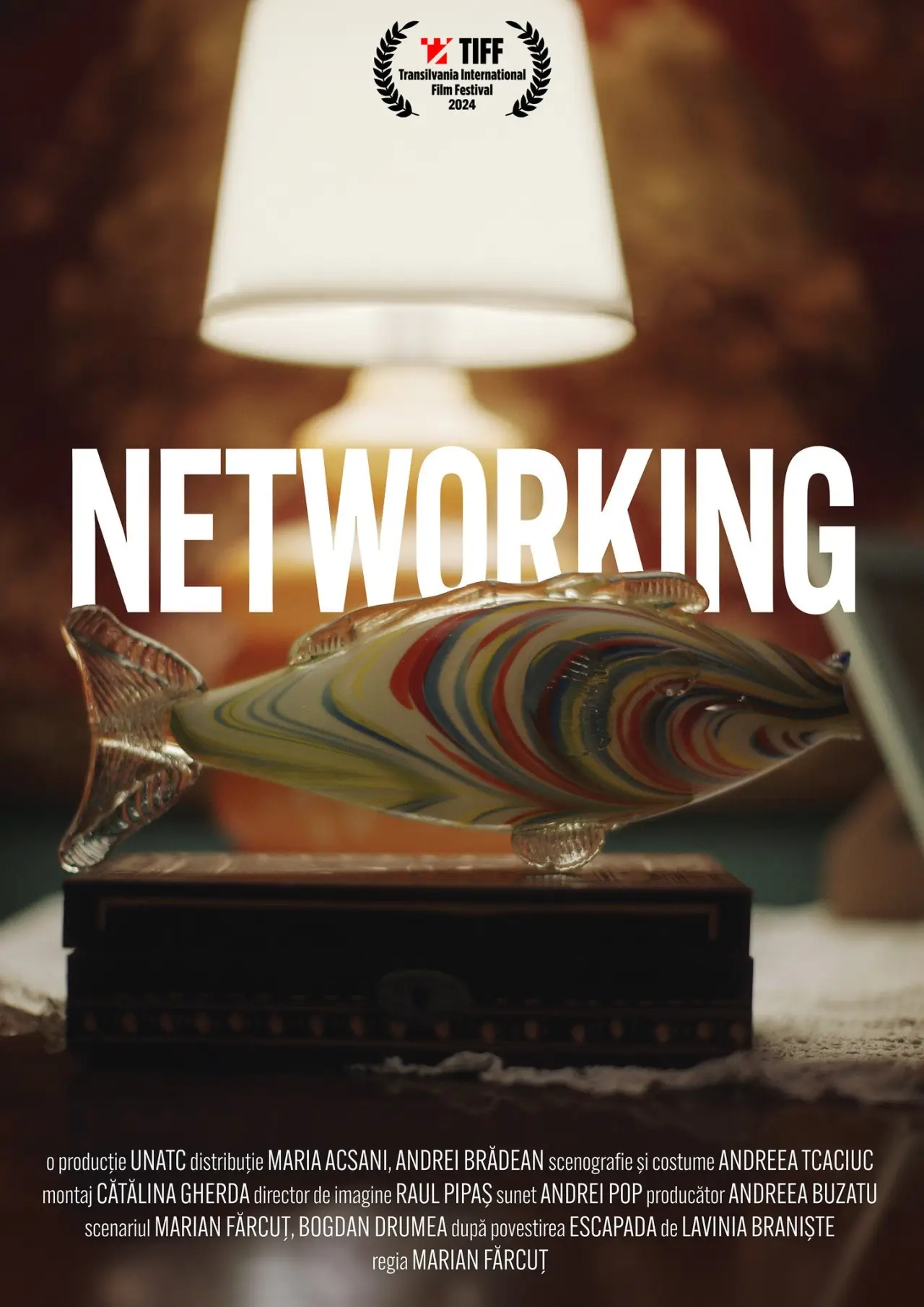 Постер к фильму "Networking"