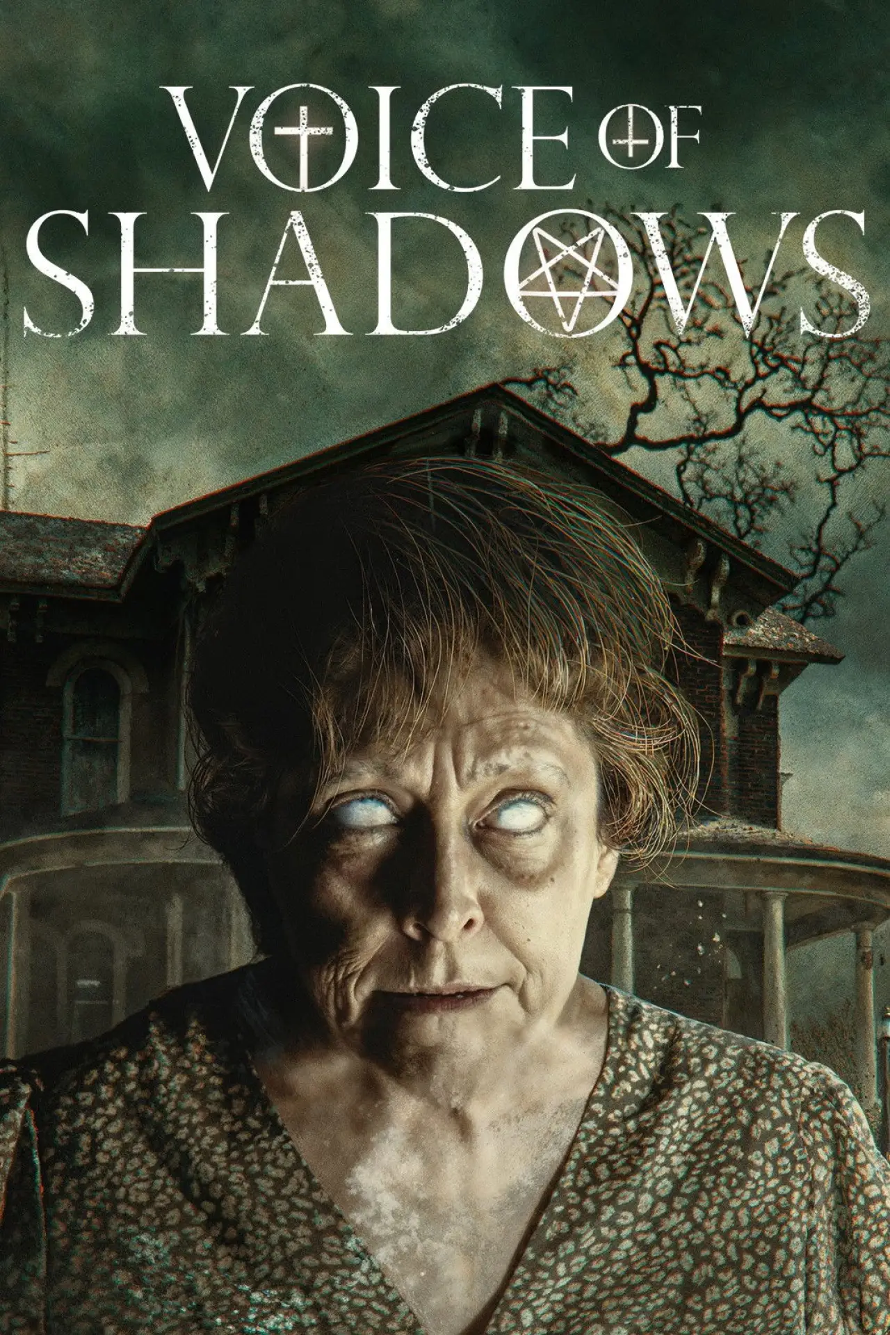 Постер к фильму "Voice of Shadows"
