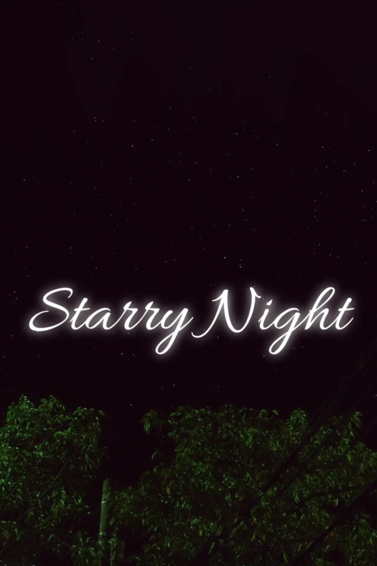 Постер к фильму "Starry Night"