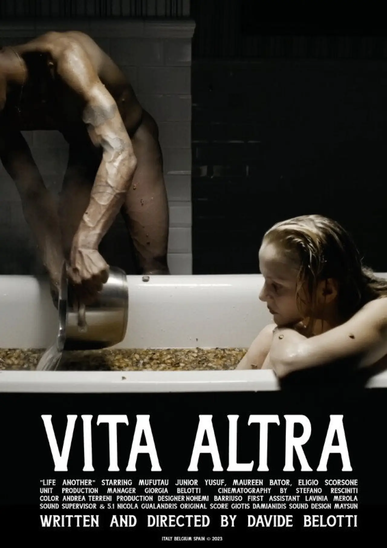 Постер к фильму "Vita Altra"