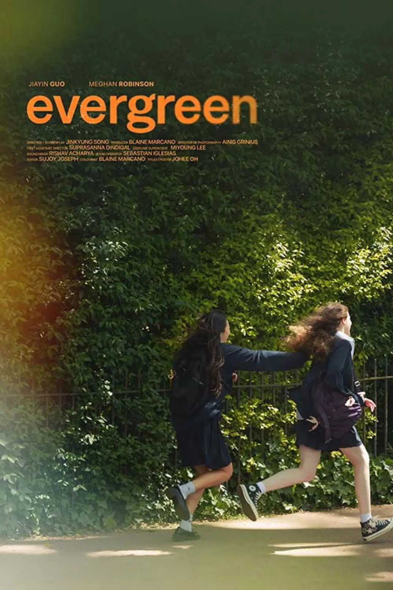 Постер к фильму "Evergreen"
