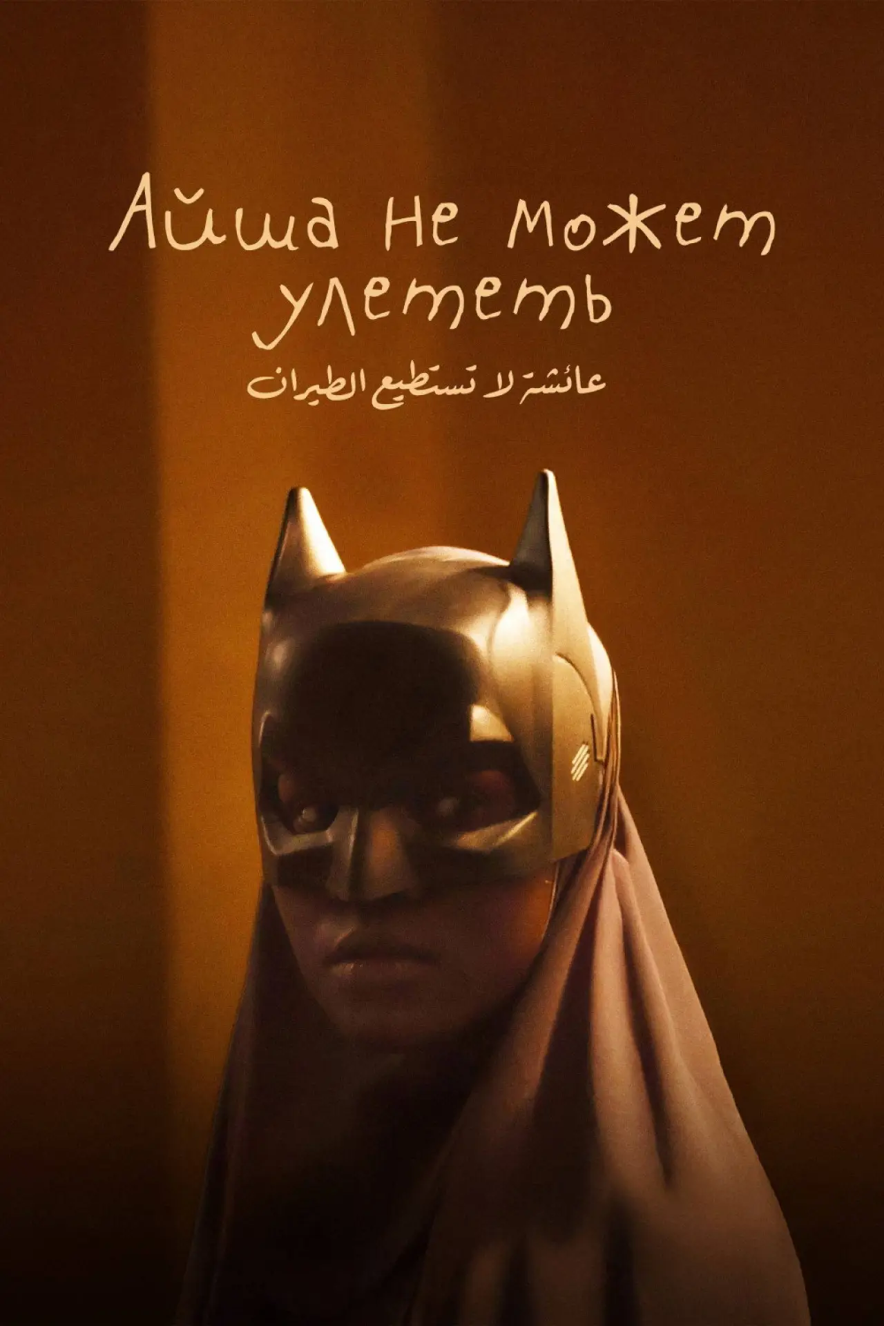 Постер к фильму "Айша не может улететь"