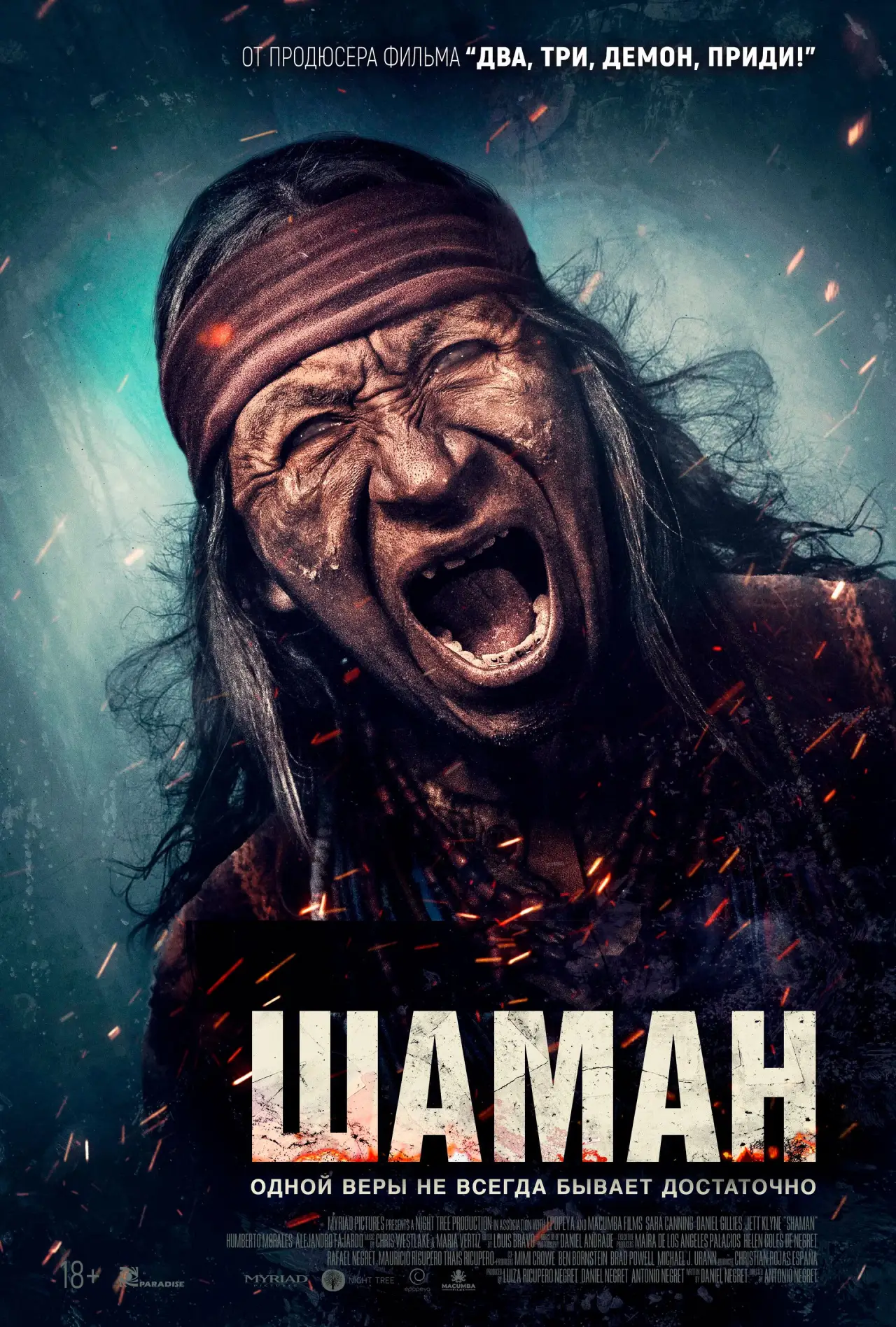 Постер к фильму "Шаман"