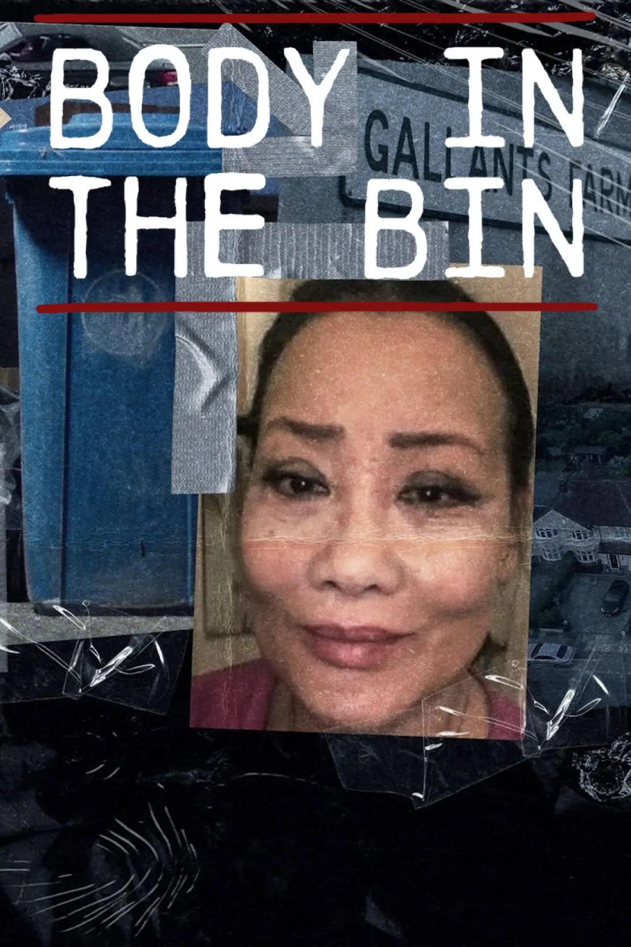 Постер к фильму "Body in the Bin: The Murder of Louise Kam"