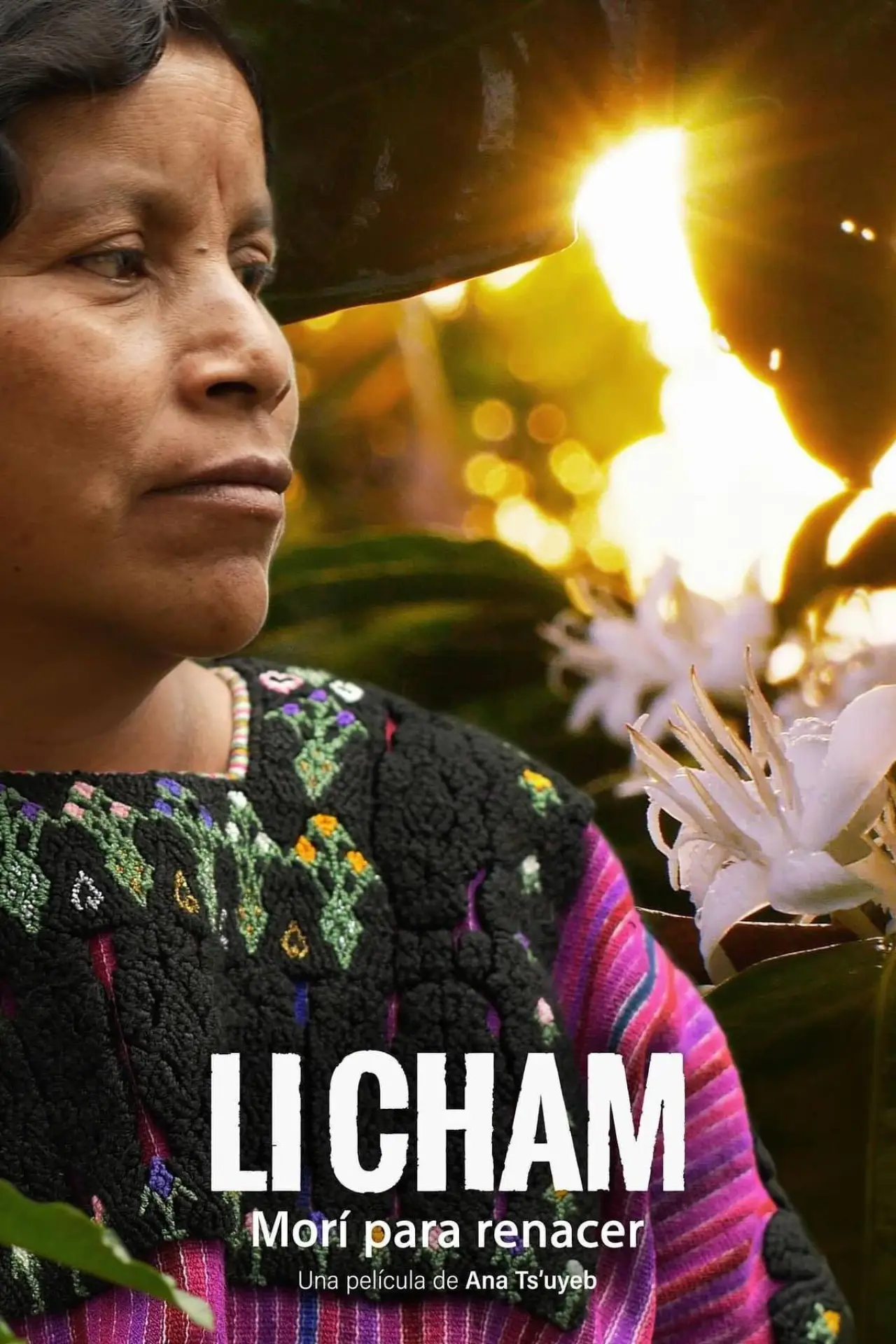 Постер к фильму "Li Cham"
