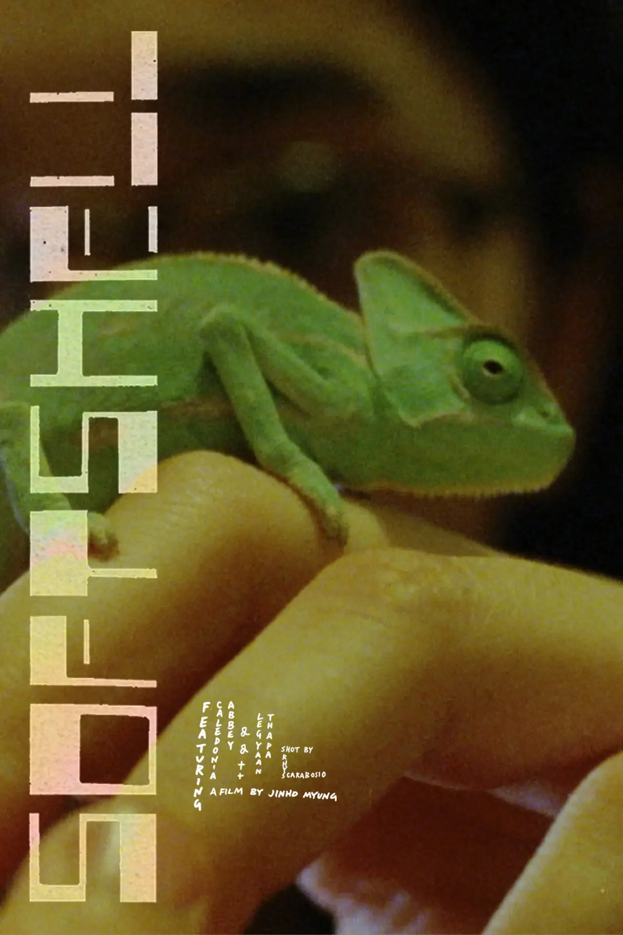 Постер к фильму "Softshell"