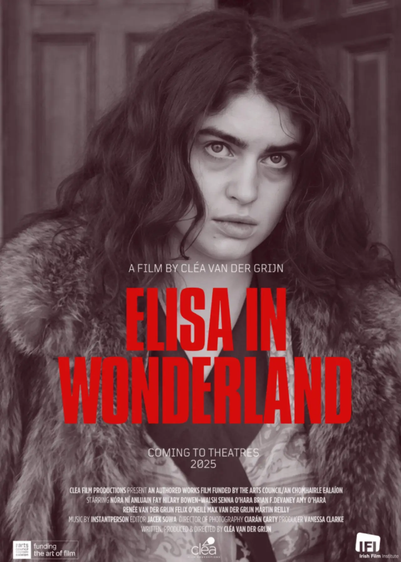 Постер к фильму "Elisa in Wonderland"