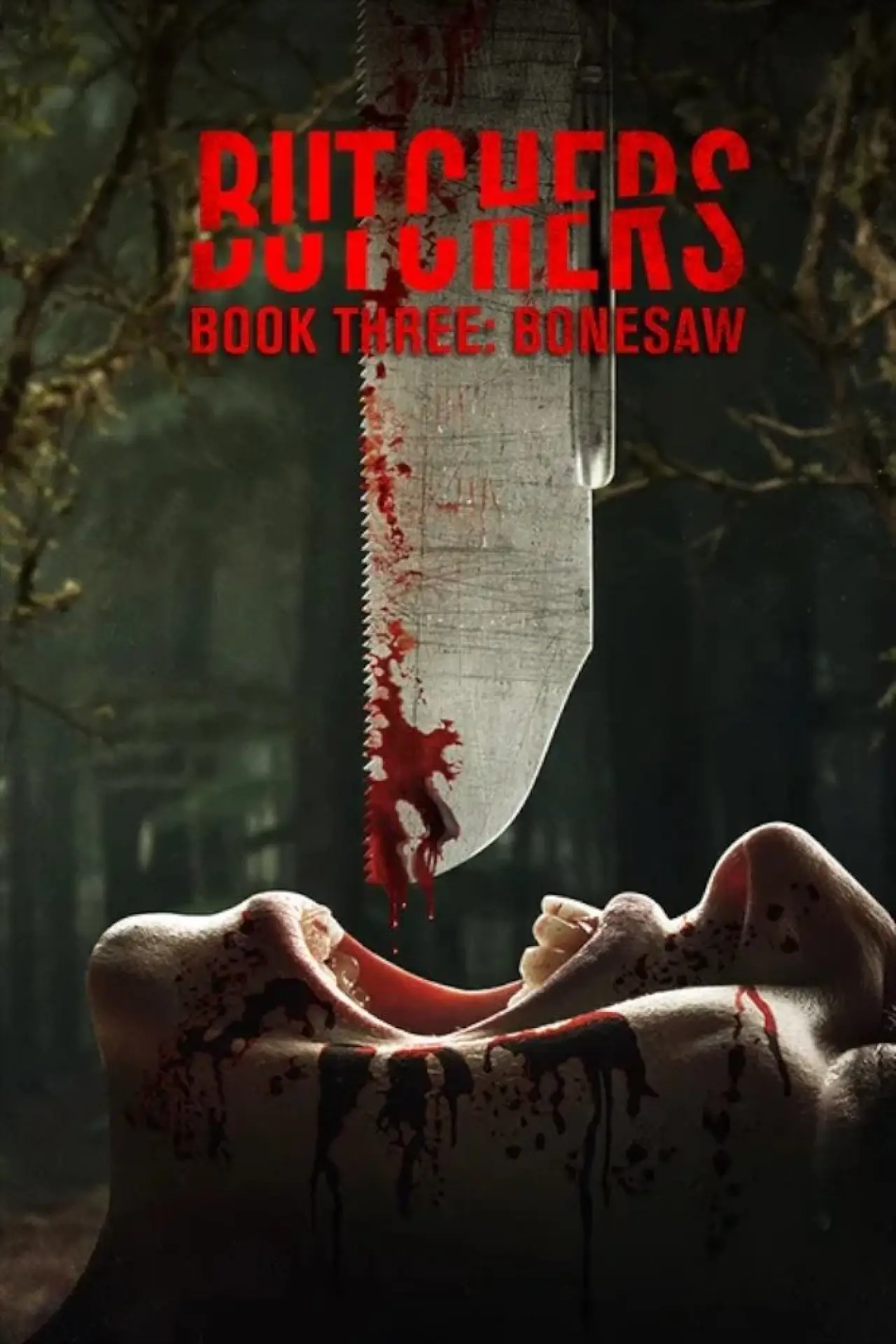 Постер к фильму "Butchers Book Three: Bonesaw"