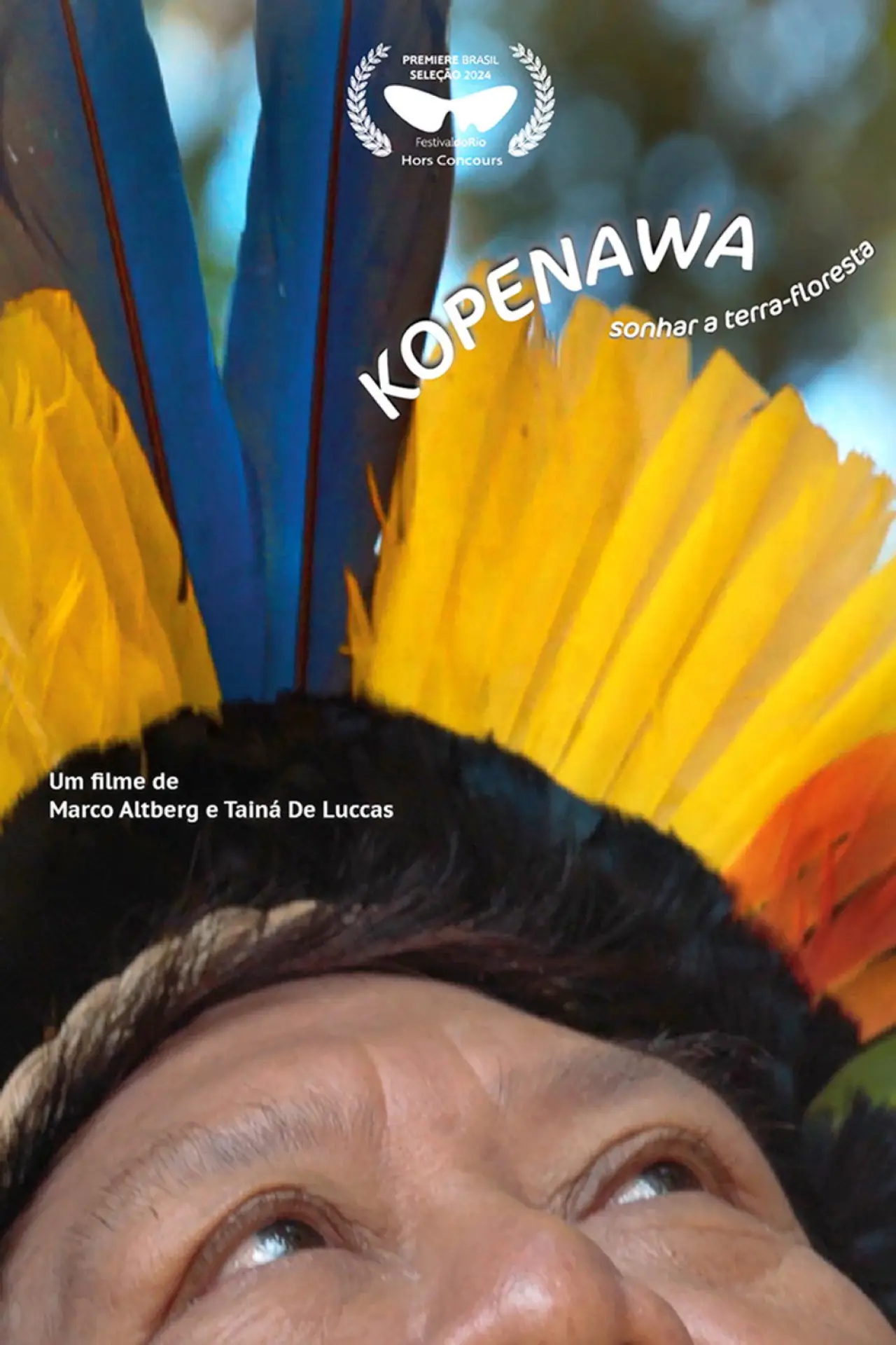 Постер к фильму "Kopenawa: Sonhar a Terra-Floresta"
