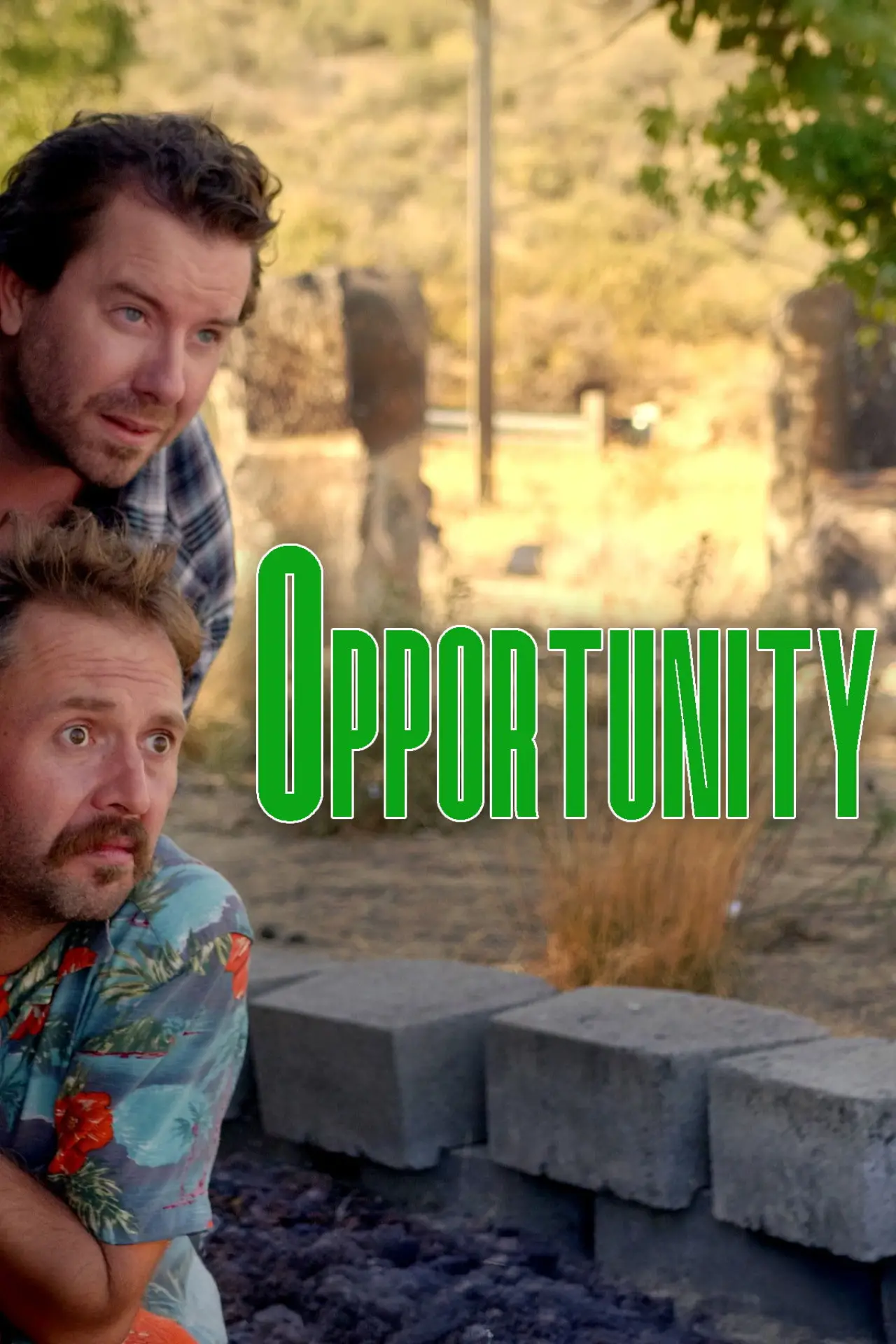 Постер к фильму "Opportunity"