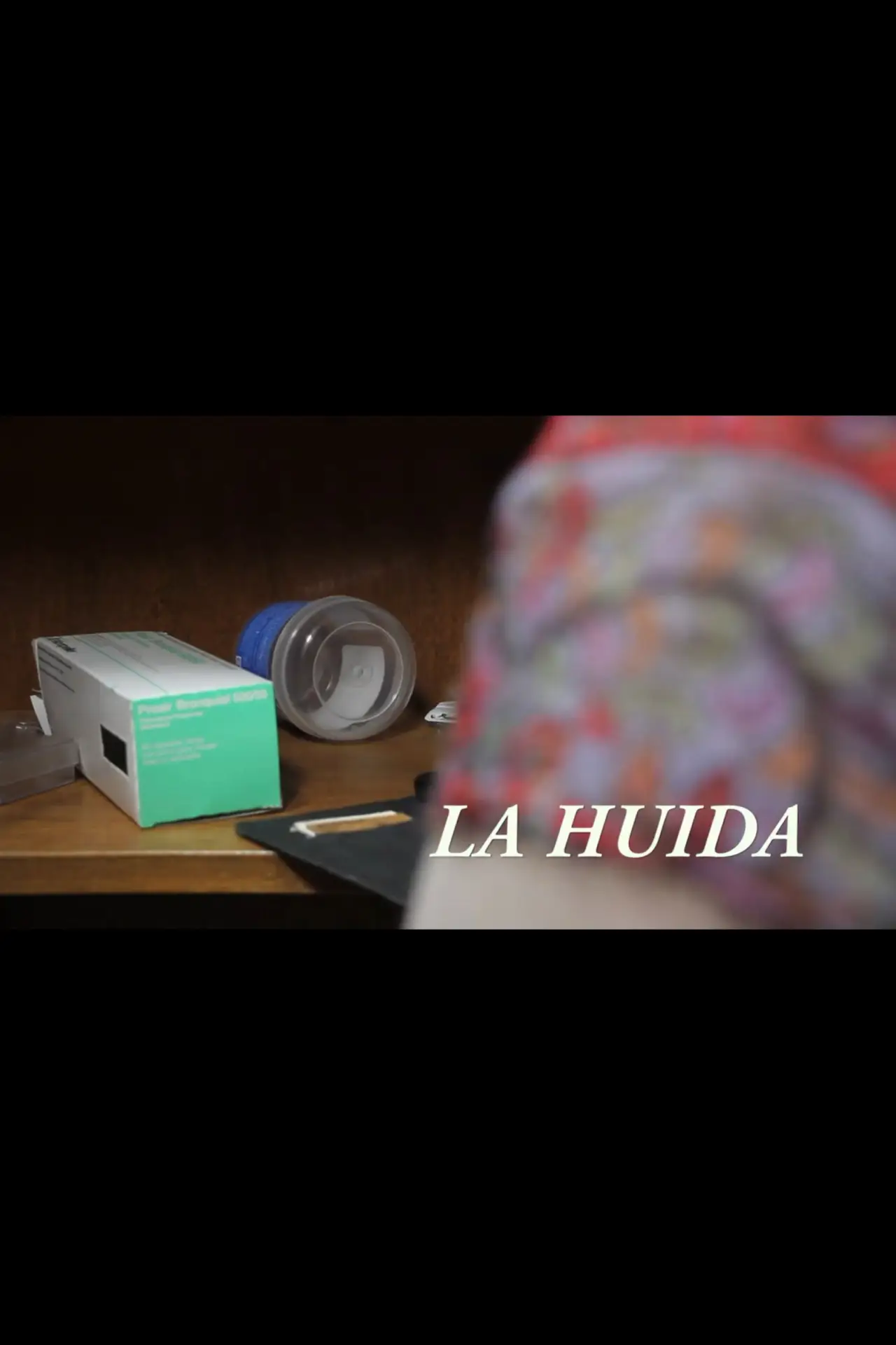Постер к фильму "La huida"