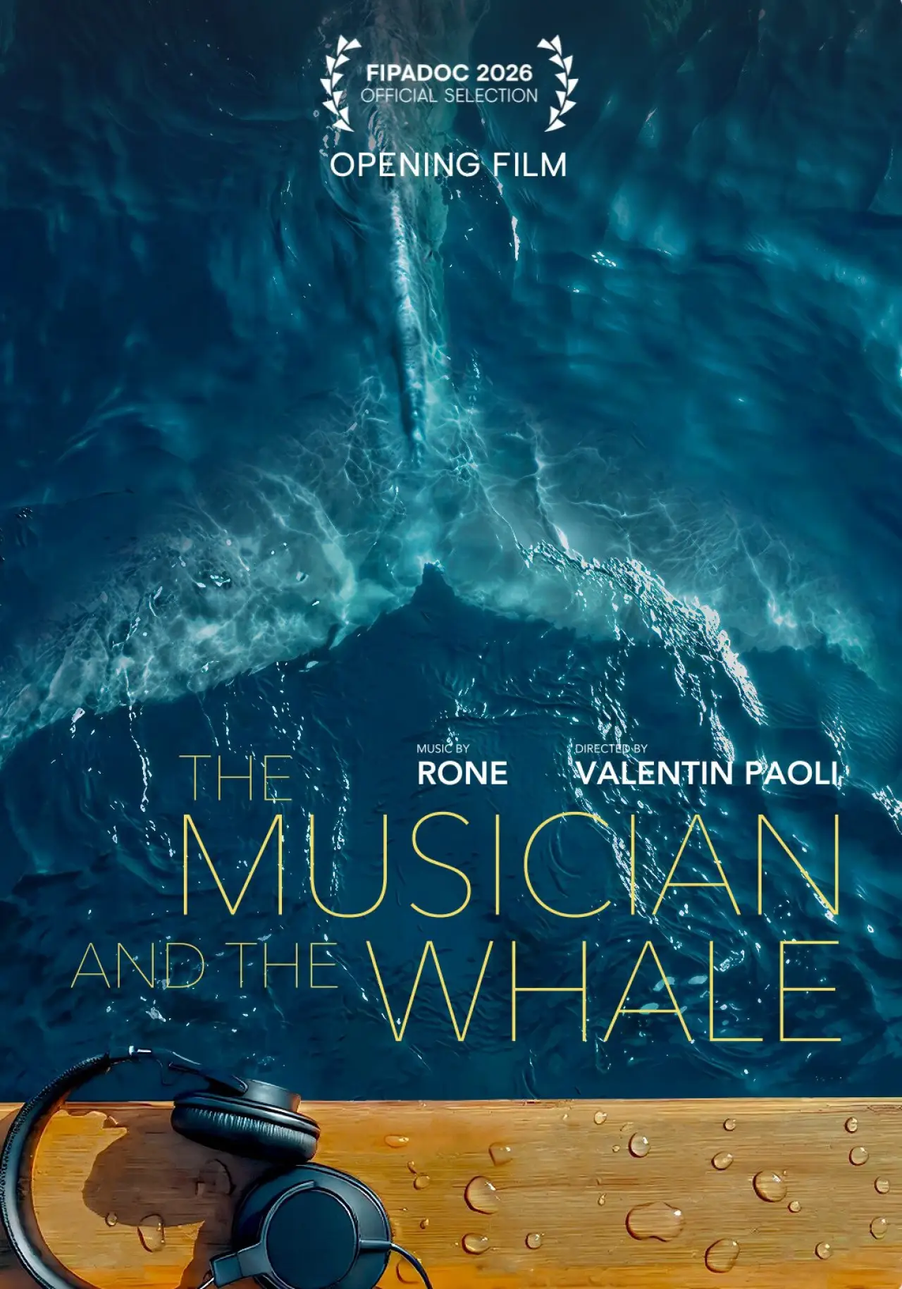 Постер к фильму "La Baleine et le musicien"