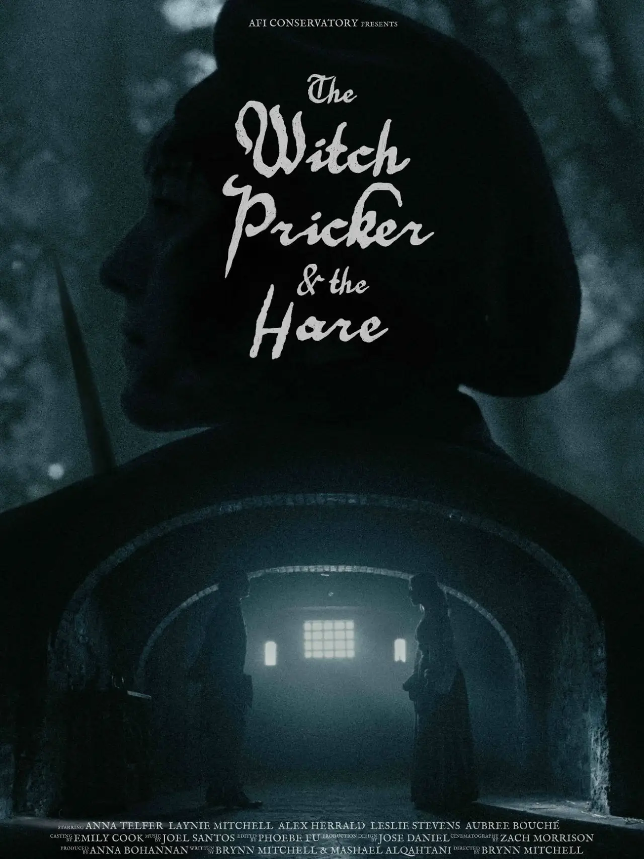 Постер к фильму "The Witch Pricker And The Hare"