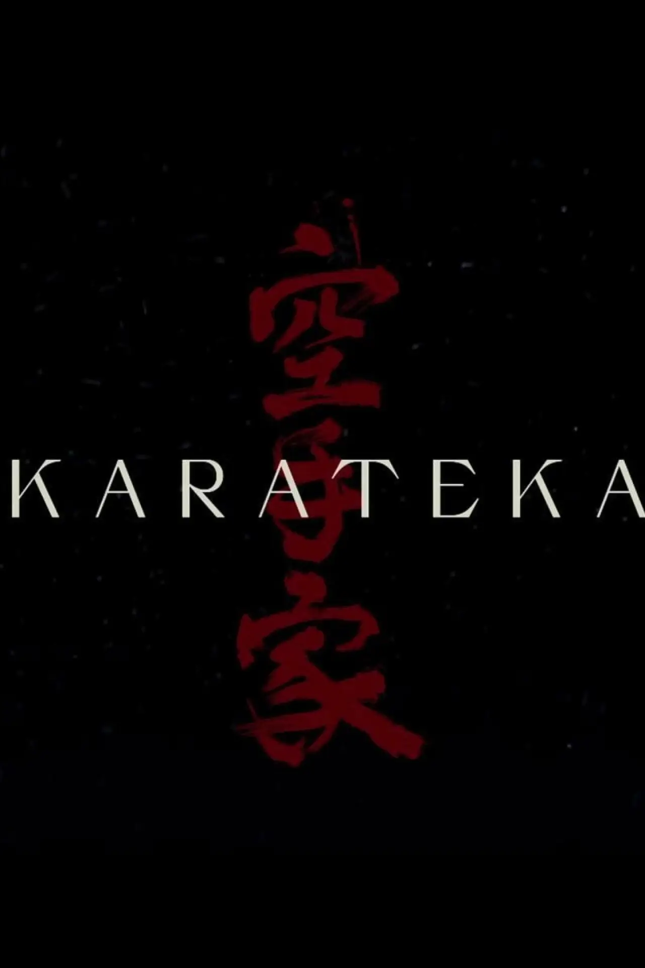 Постер к фильму "Karateka"