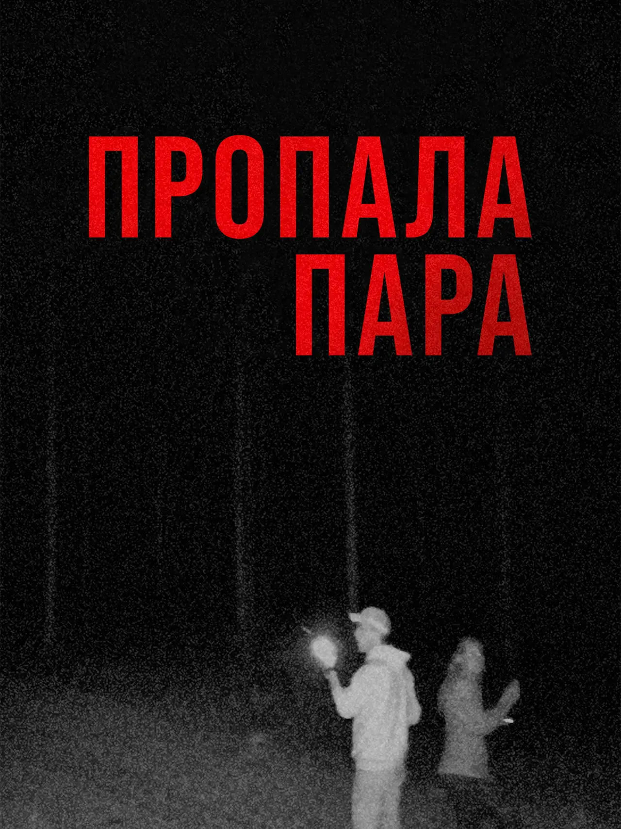 Постер к фильму "Пропала пара"