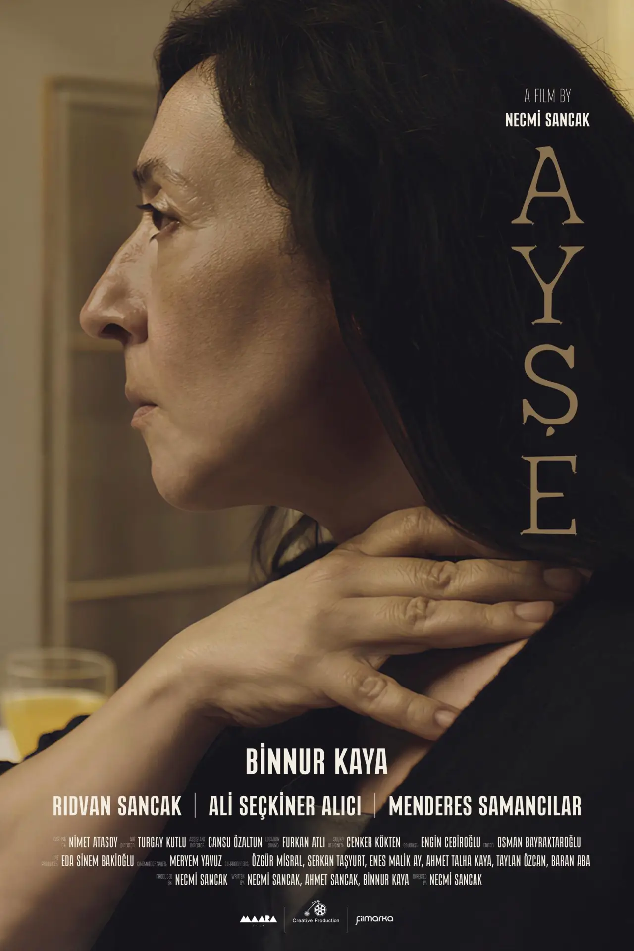 Постер к фильму "Ayşe"