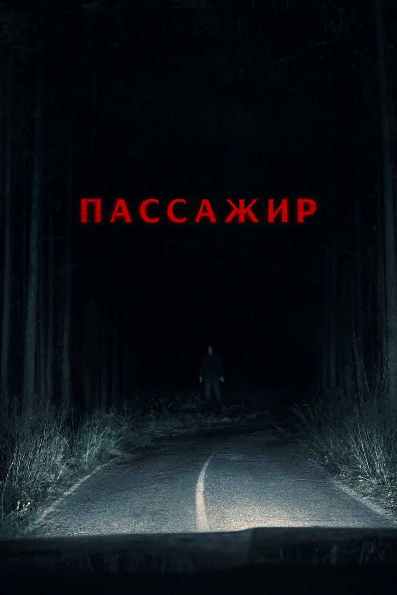Постер к фильму "Пассажир"