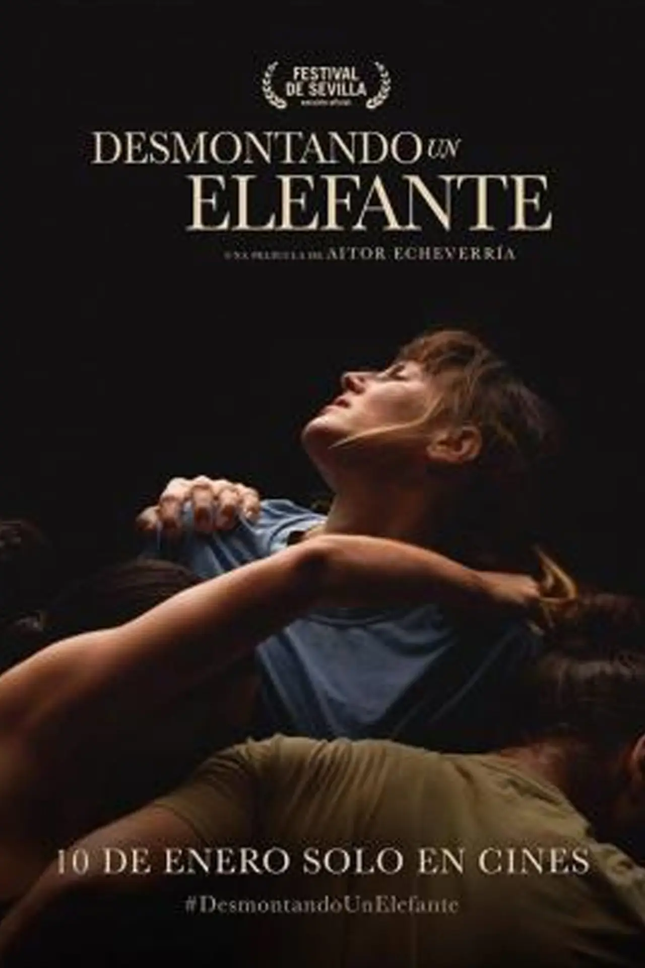 Постер к фильму "Desmontando un elefante"