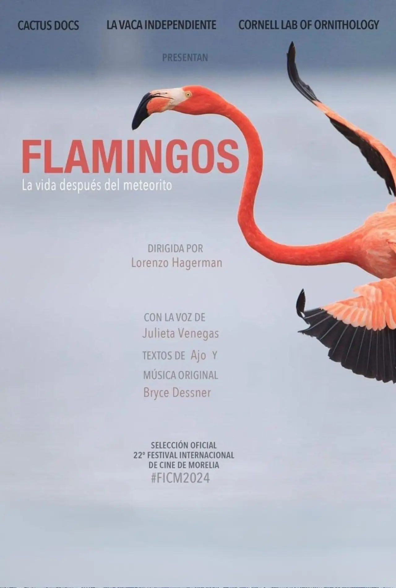 Постер к фильму "Flamingos: La vida después del meteorito"