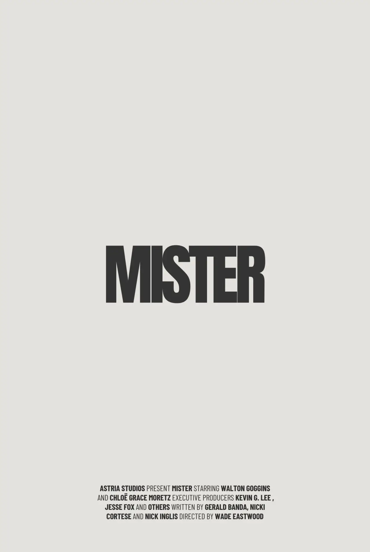 Постер к фильму "Mister"