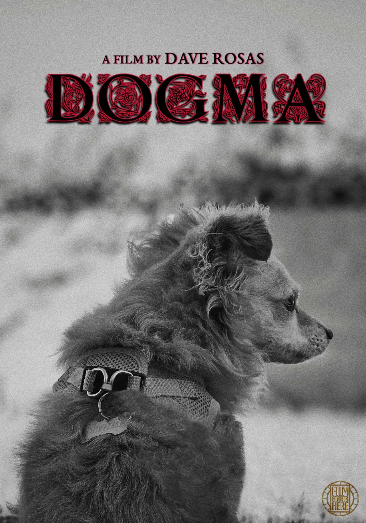 Постер к фильму "DOGMA"