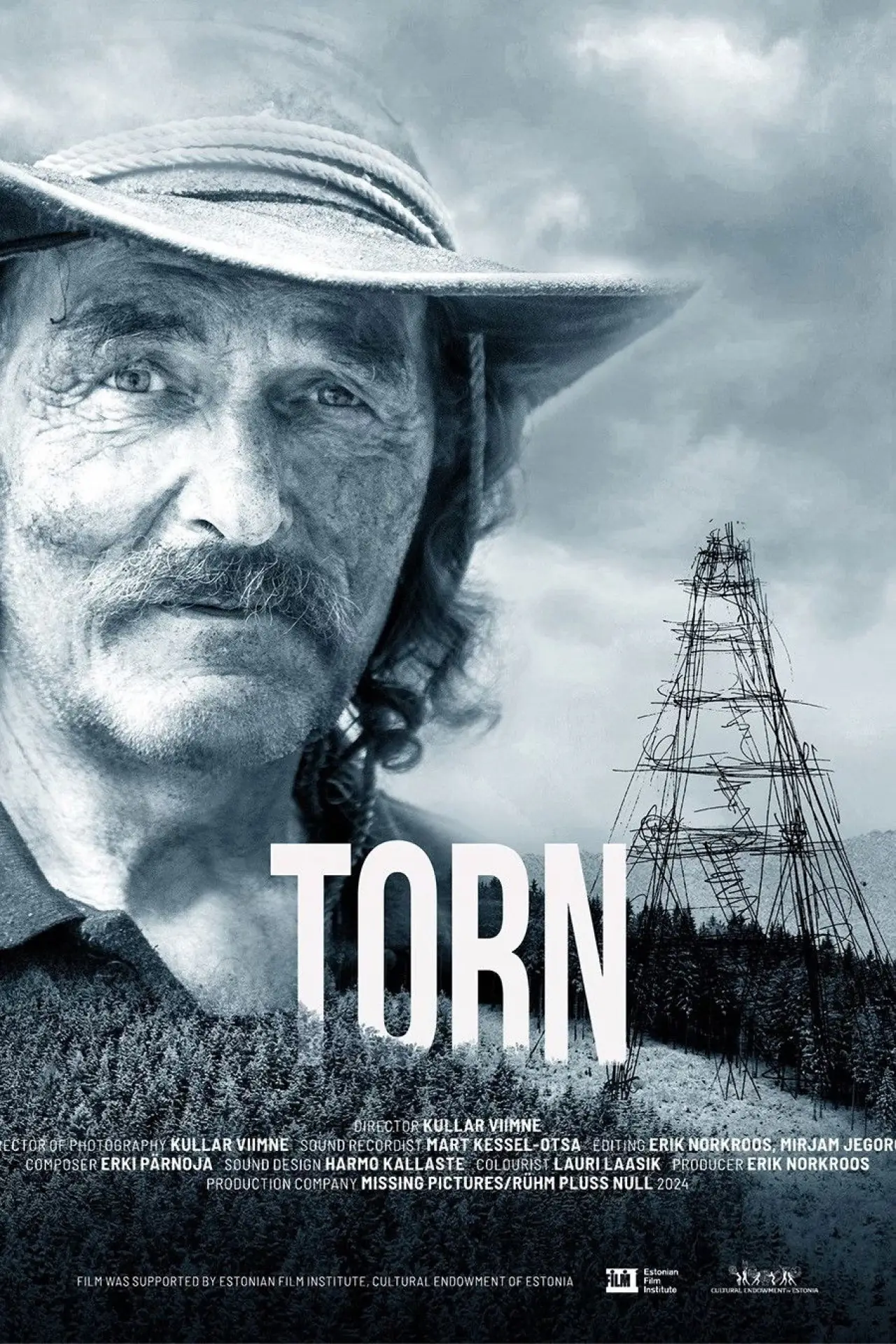 Постер к фильму "Torn"