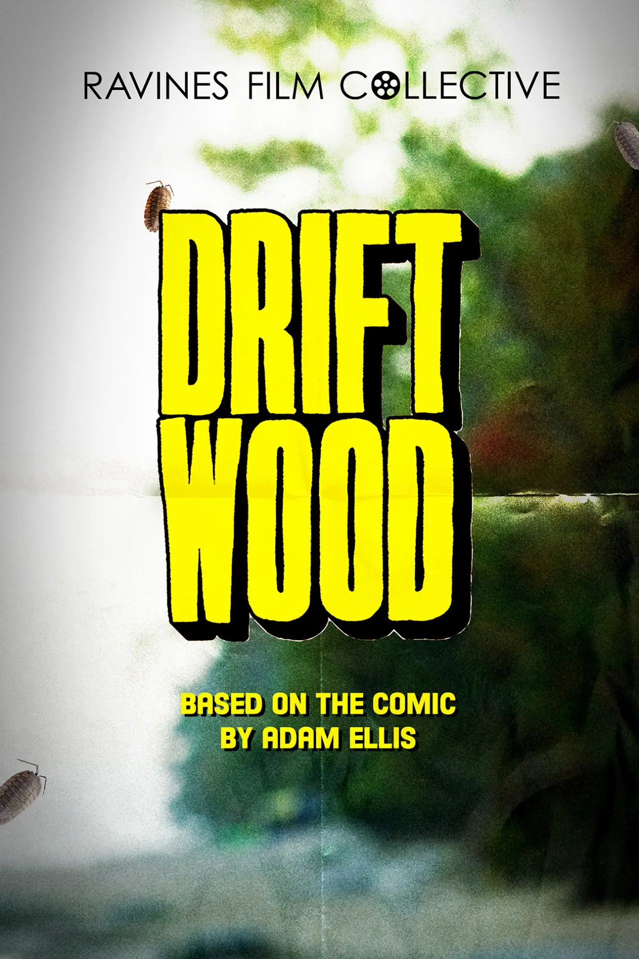 Постер к фильму "Driftwood"