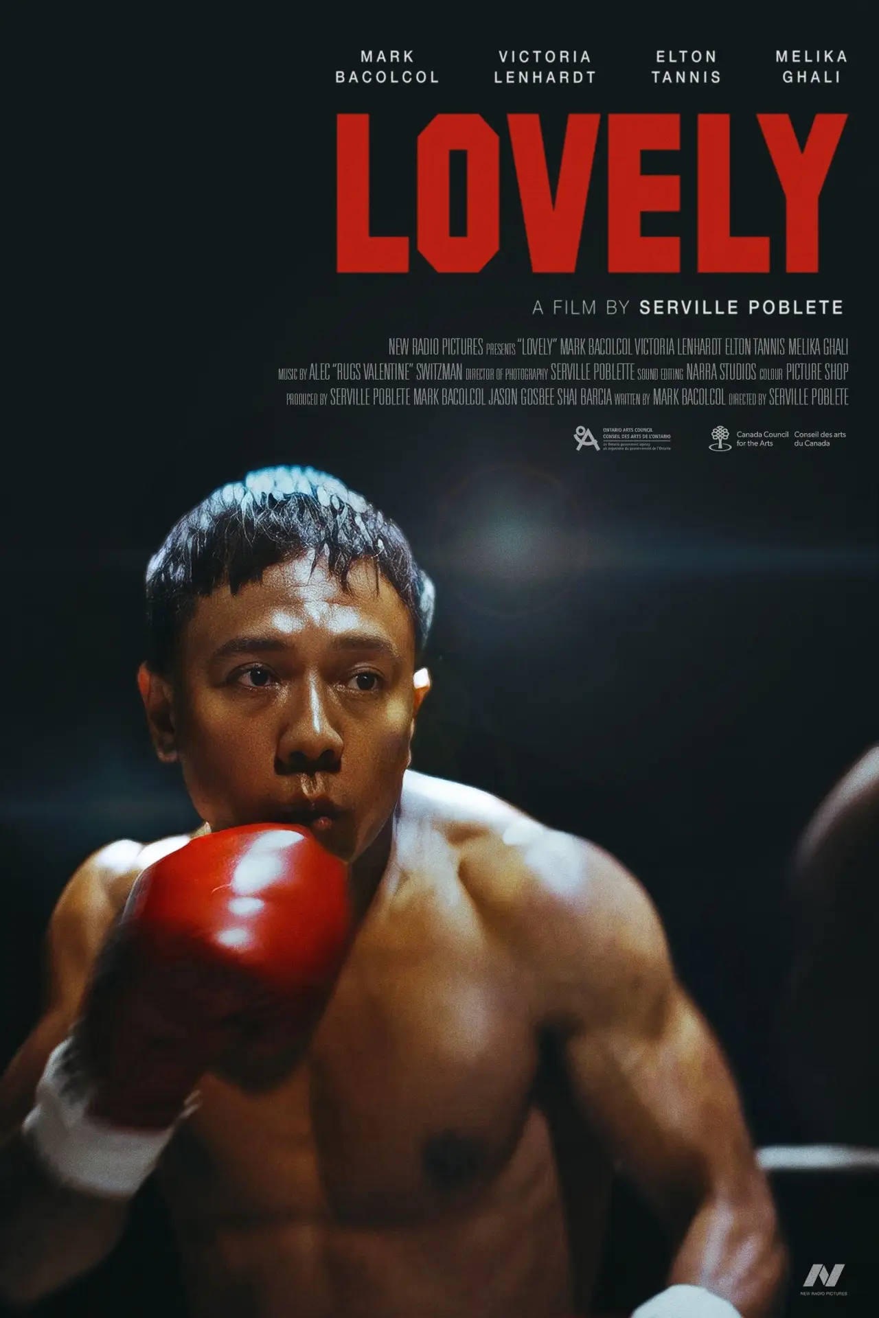 Постер к фильму "Lovely"
