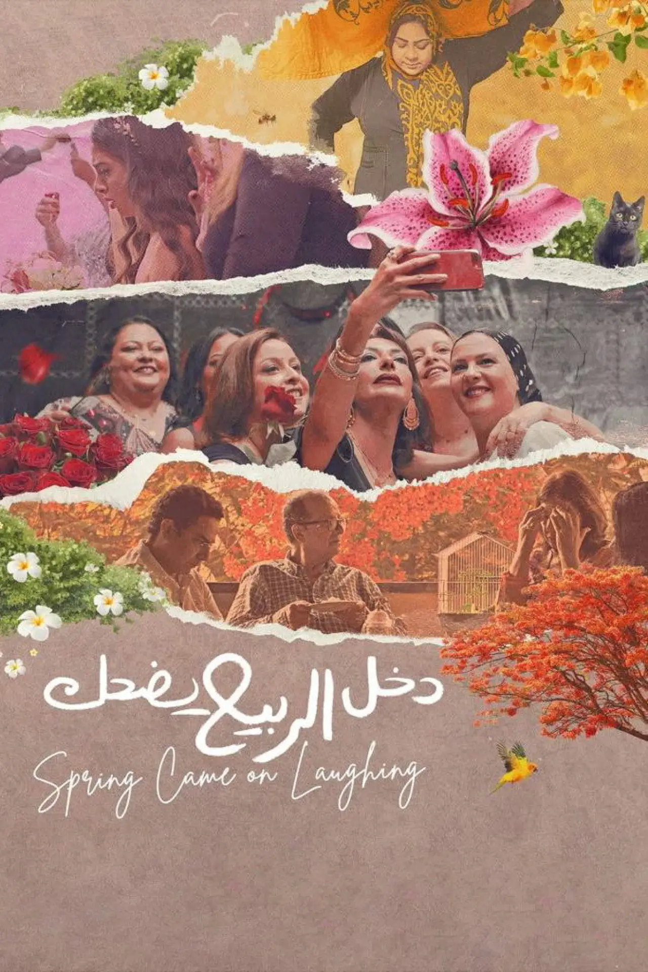 Постер к фильму "دخل الربيع يضحك"