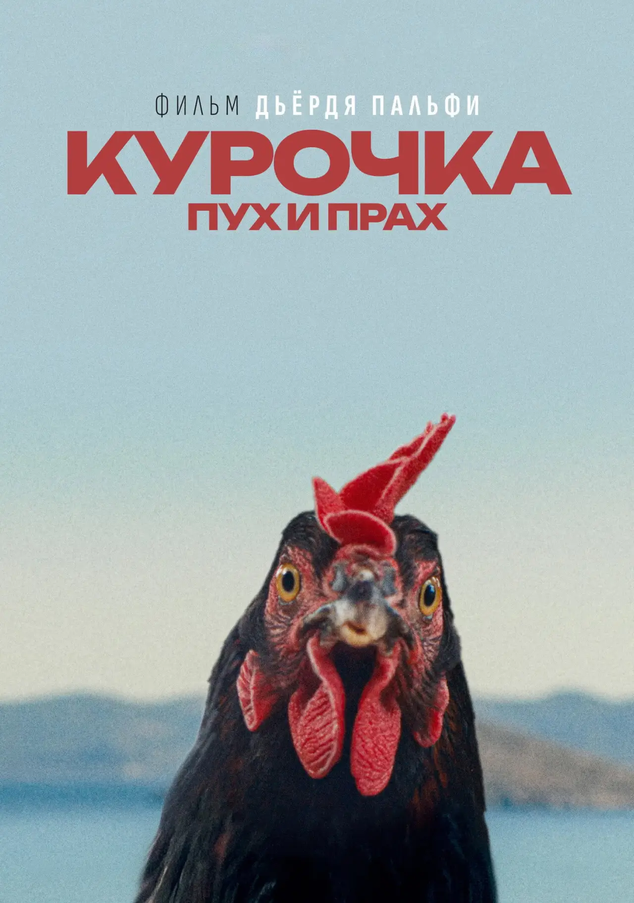 Постер к фильму "Курочка. Пух и прах"