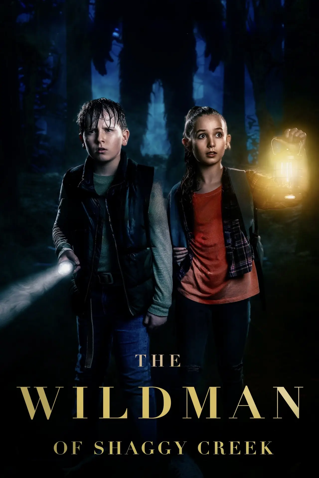 Постер к фильму "The Wildman of Shaggy Creek"