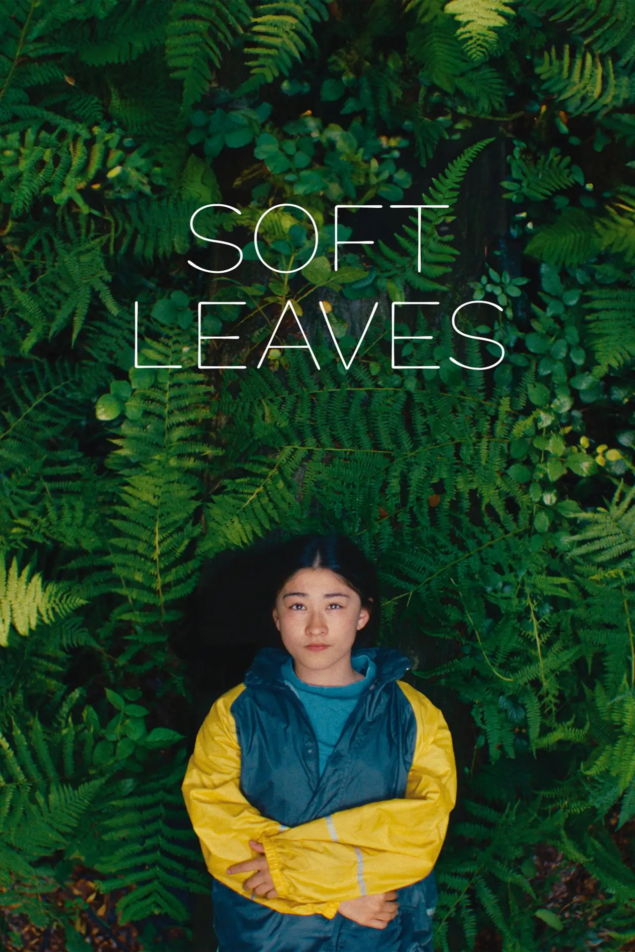 Постер к фильму "Soft Leaves"