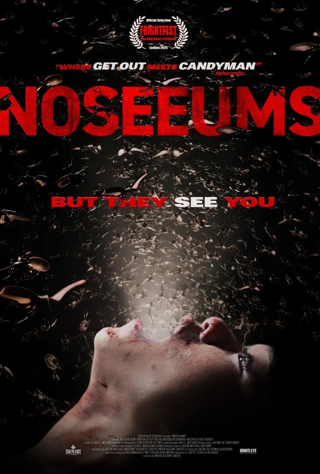 Постер к фильму "Noseeums"
