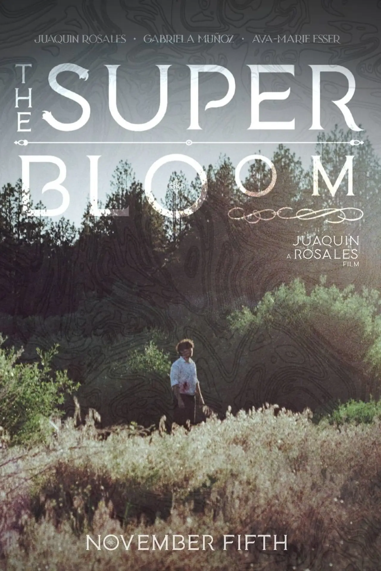 Постер к фильму "The Superbloom"