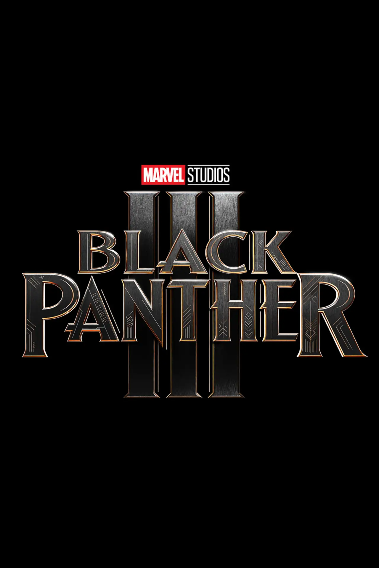 Постер к фильму "Black Panther 3"